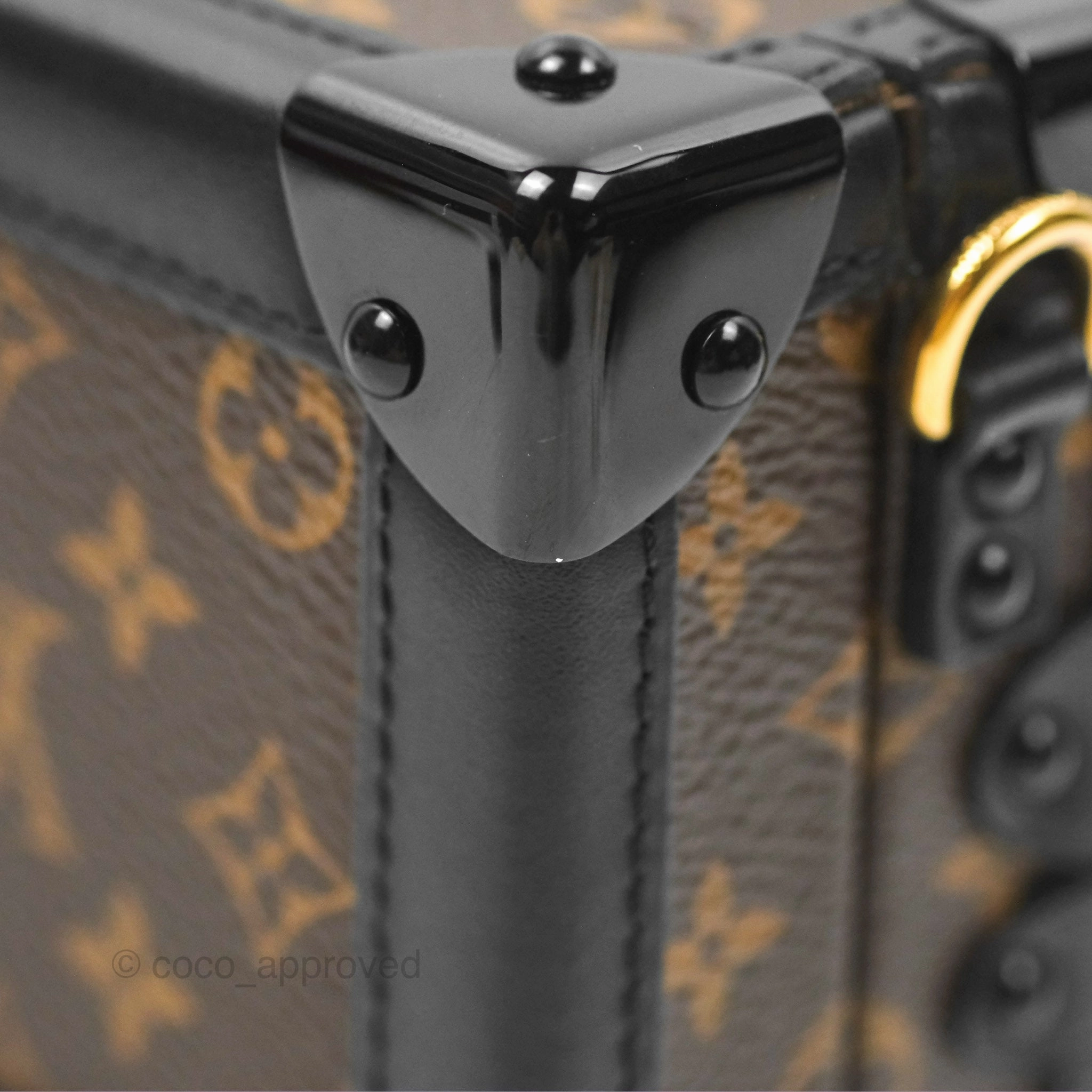 Louis Vuitton Monogram Petite Malle