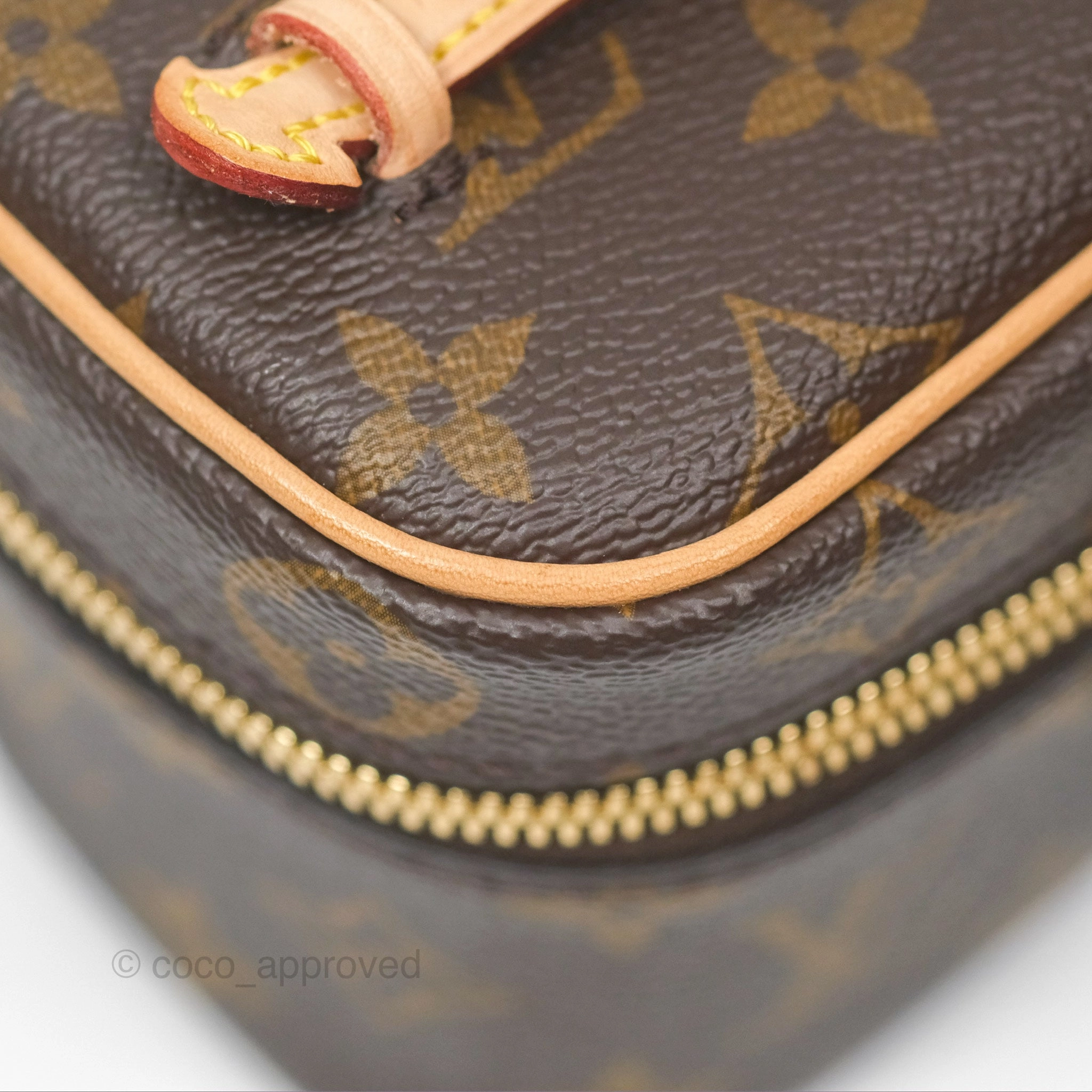 Louis Vuitton Nano Nice Monogram