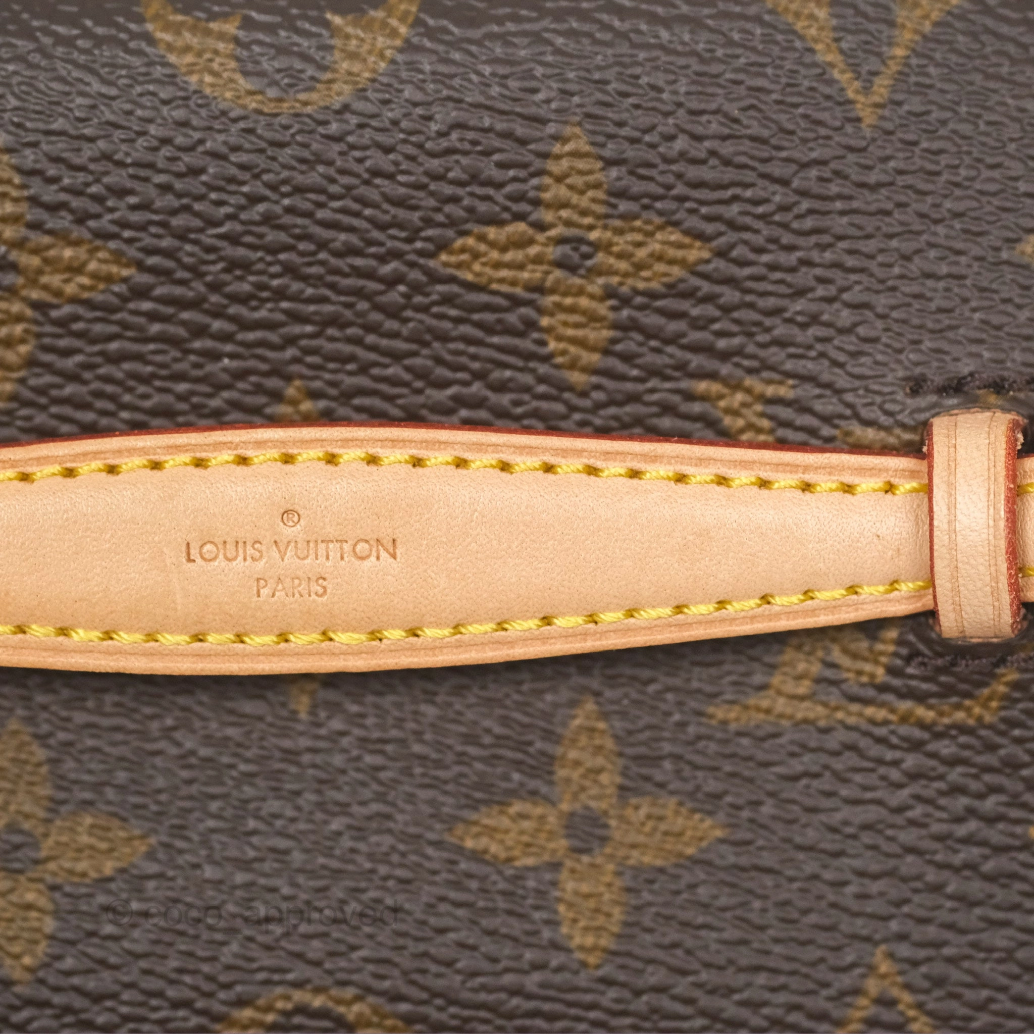Louis Vuitton Nano Nice Monogram