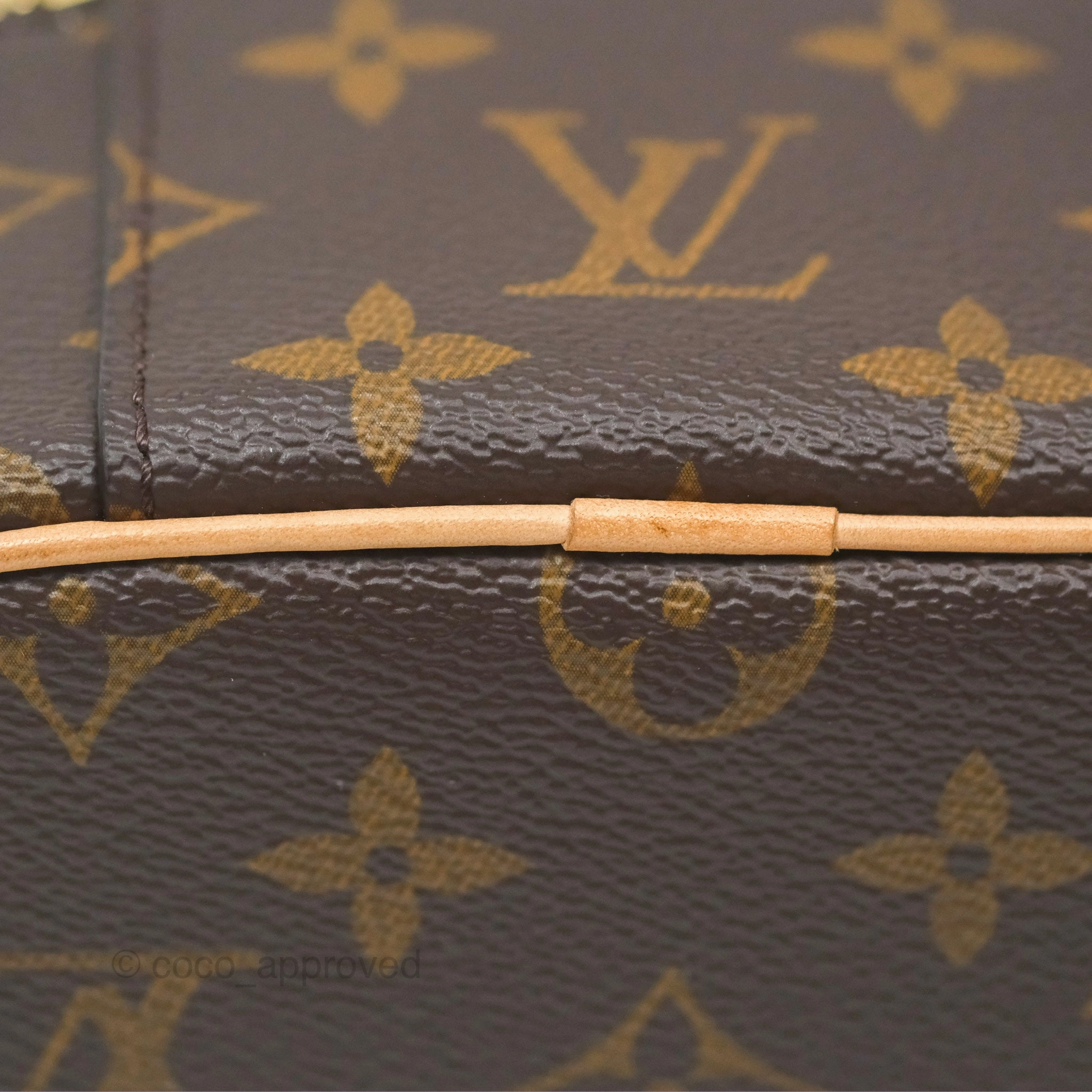 Louis Vuitton Nano Nice Monogram