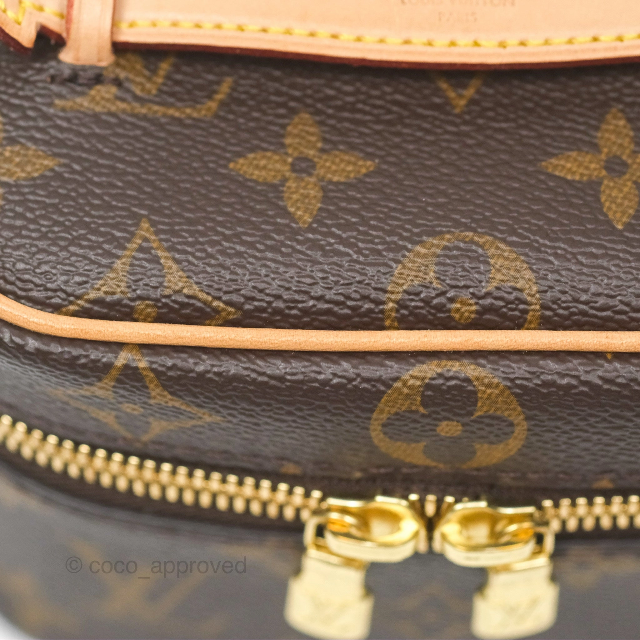 Louis Vuitton Nano Nice Monogram
