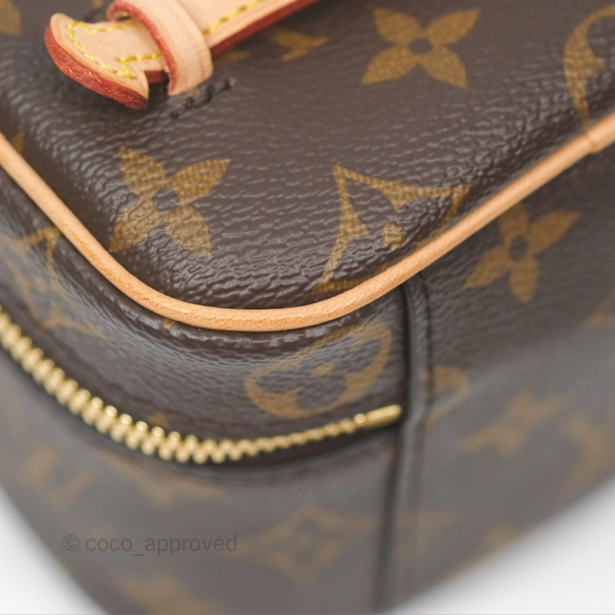 Louis Vuitton Nano Nice Monogram