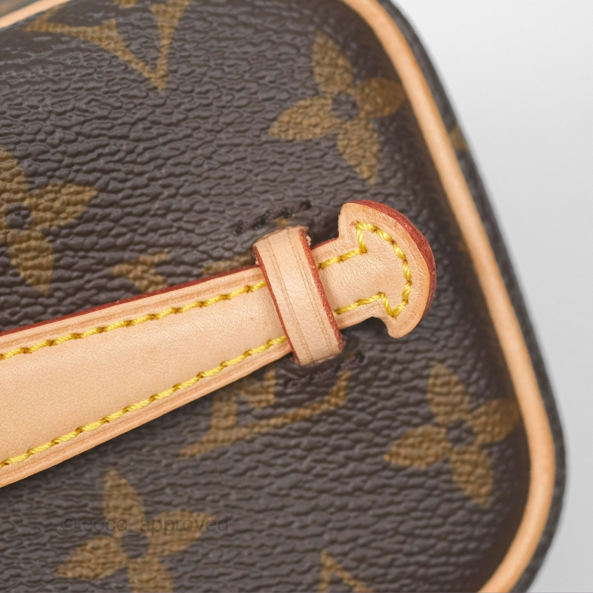 Louis Vuitton Nano Nice Monogram