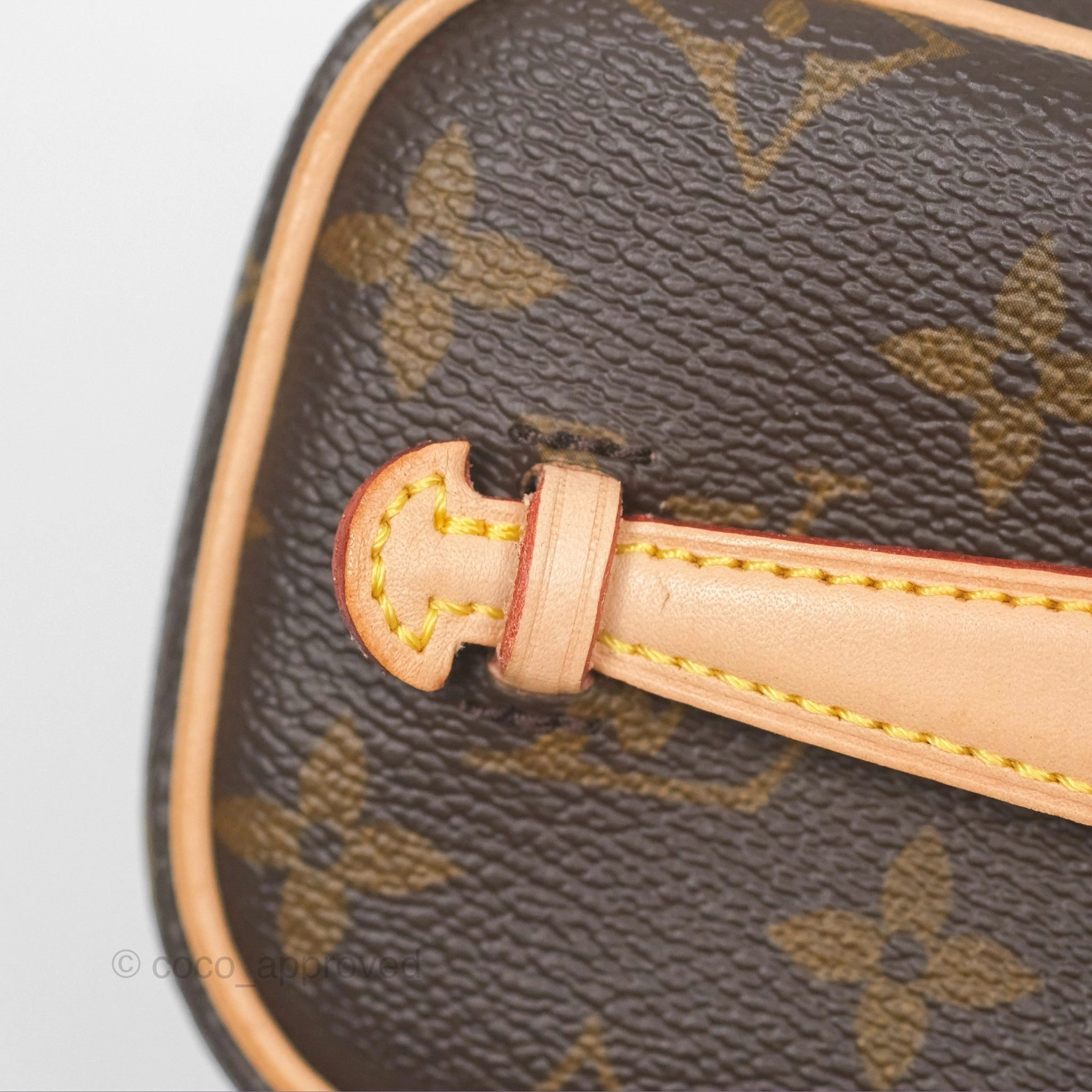 Louis Vuitton Nano Nice Monogram