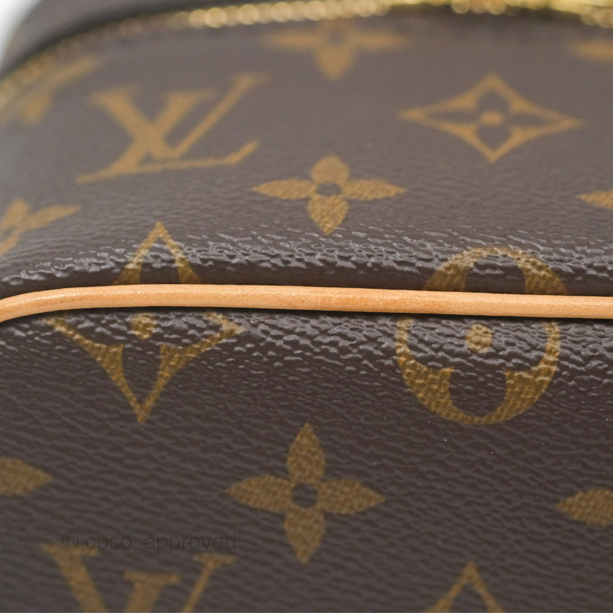 Louis Vuitton Nano Nice Monogram