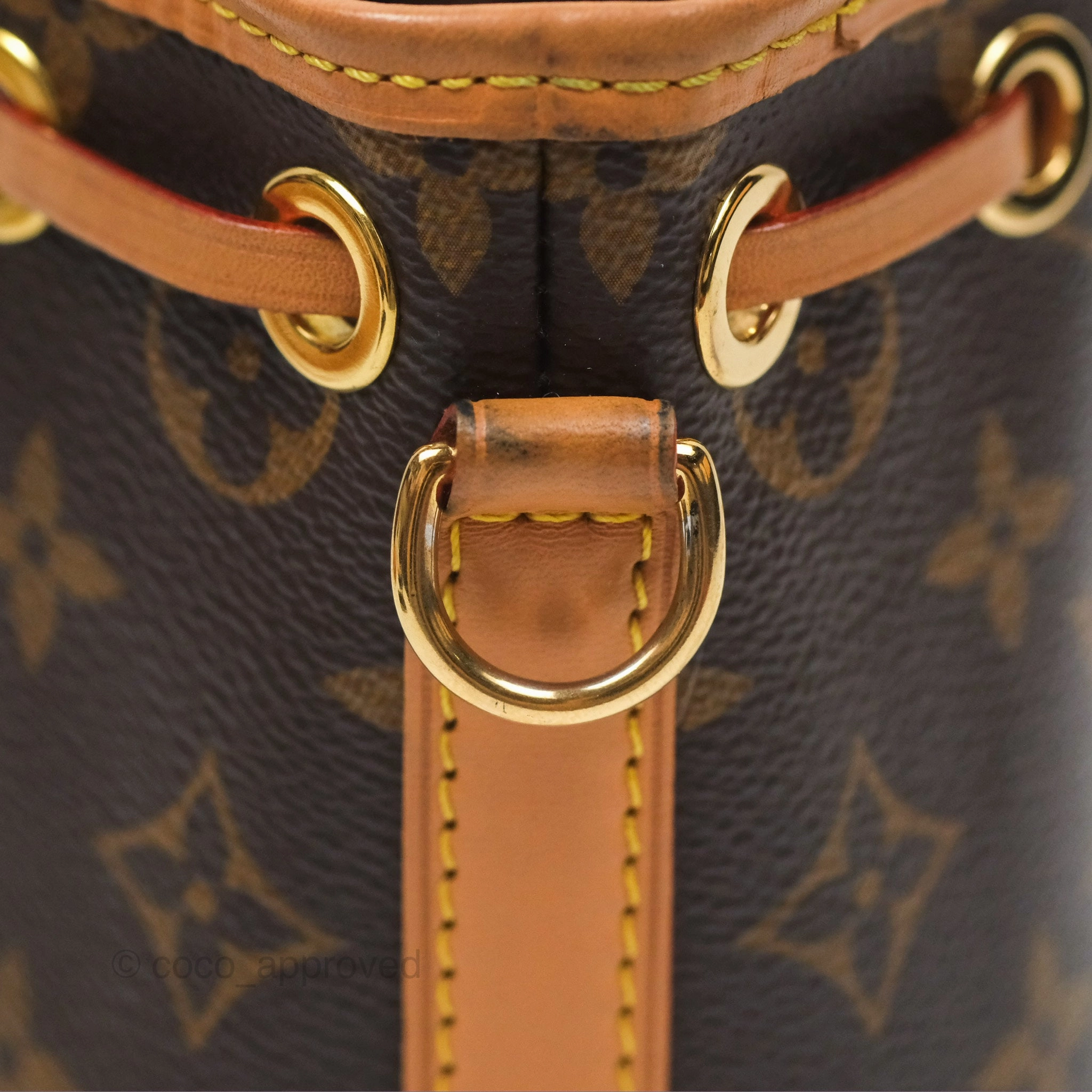 Louis Vuitton Nano Noe Monogram Canvas