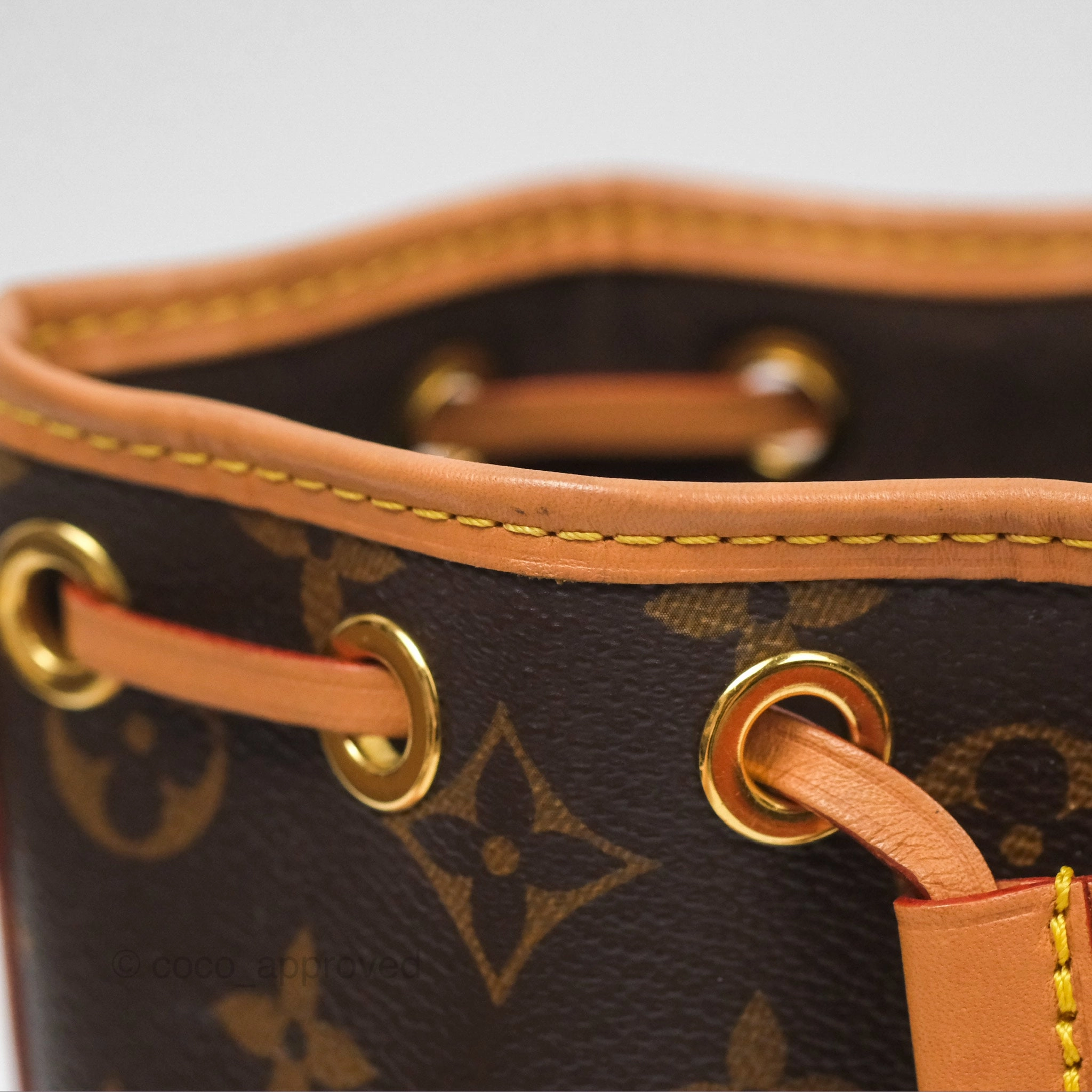 Louis Vuitton Nano Noe Monogram Canvas