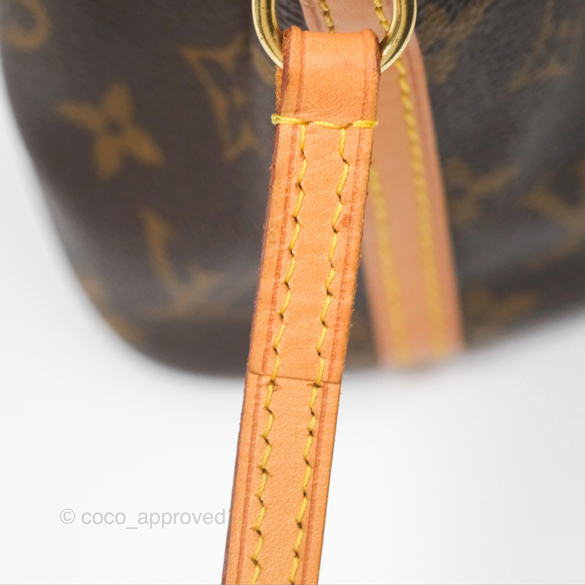 Louis Vuitton Nano Noe Monogram Canvas
