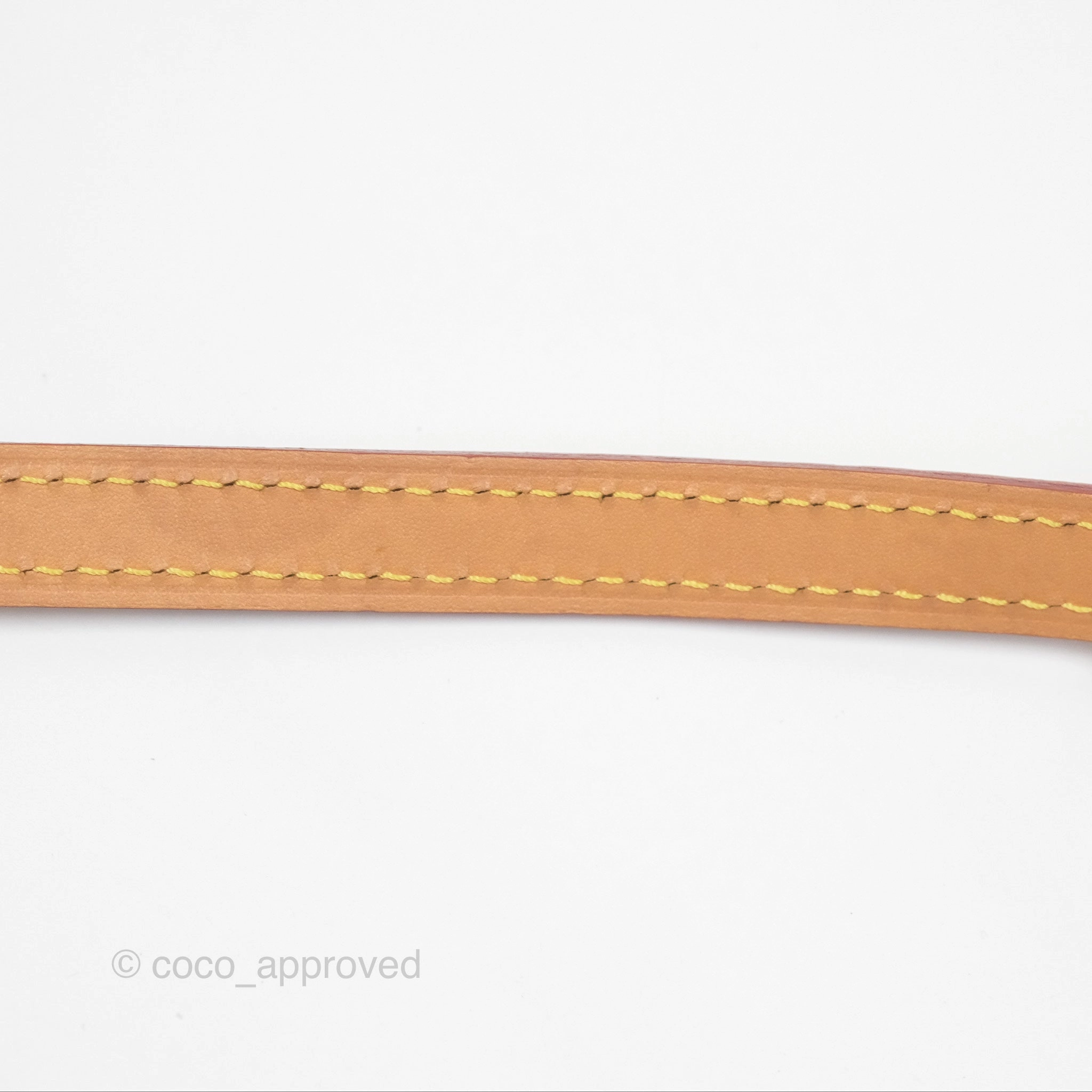 Louis Vuitton Nano Noe Monogram Canvas