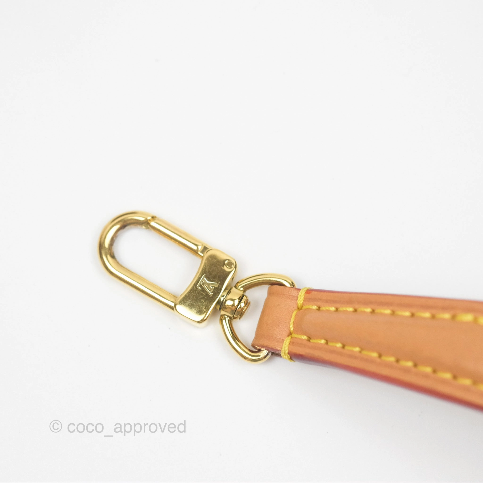 Louis Vuitton Nano Noe Monogram Canvas