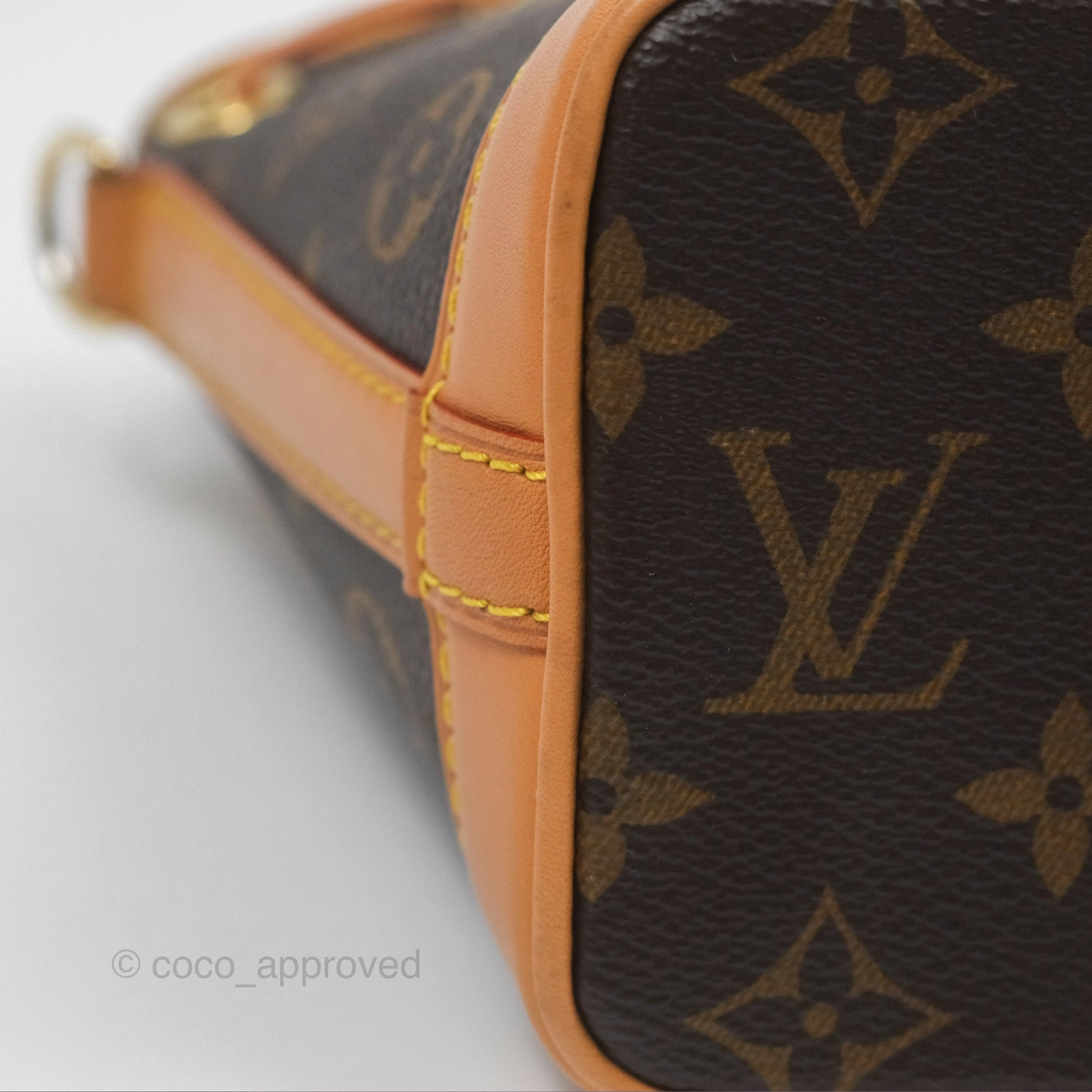 Louis Vuitton Nano Noe Monogram Canvas