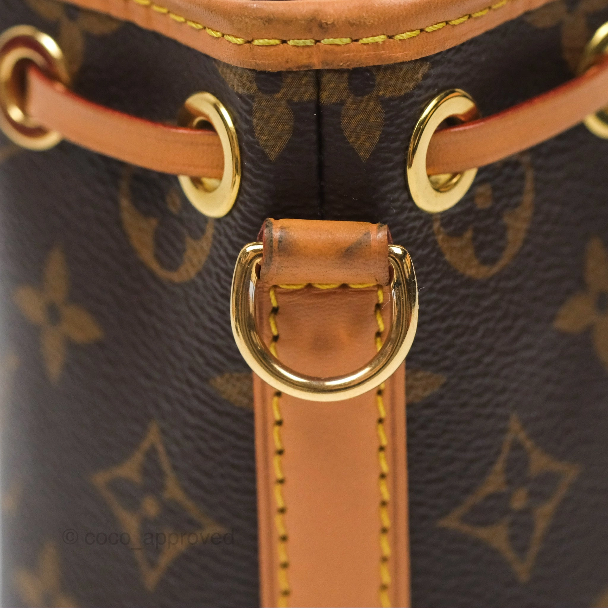 Louis Vuitton Nano Noe Monogram Canvas