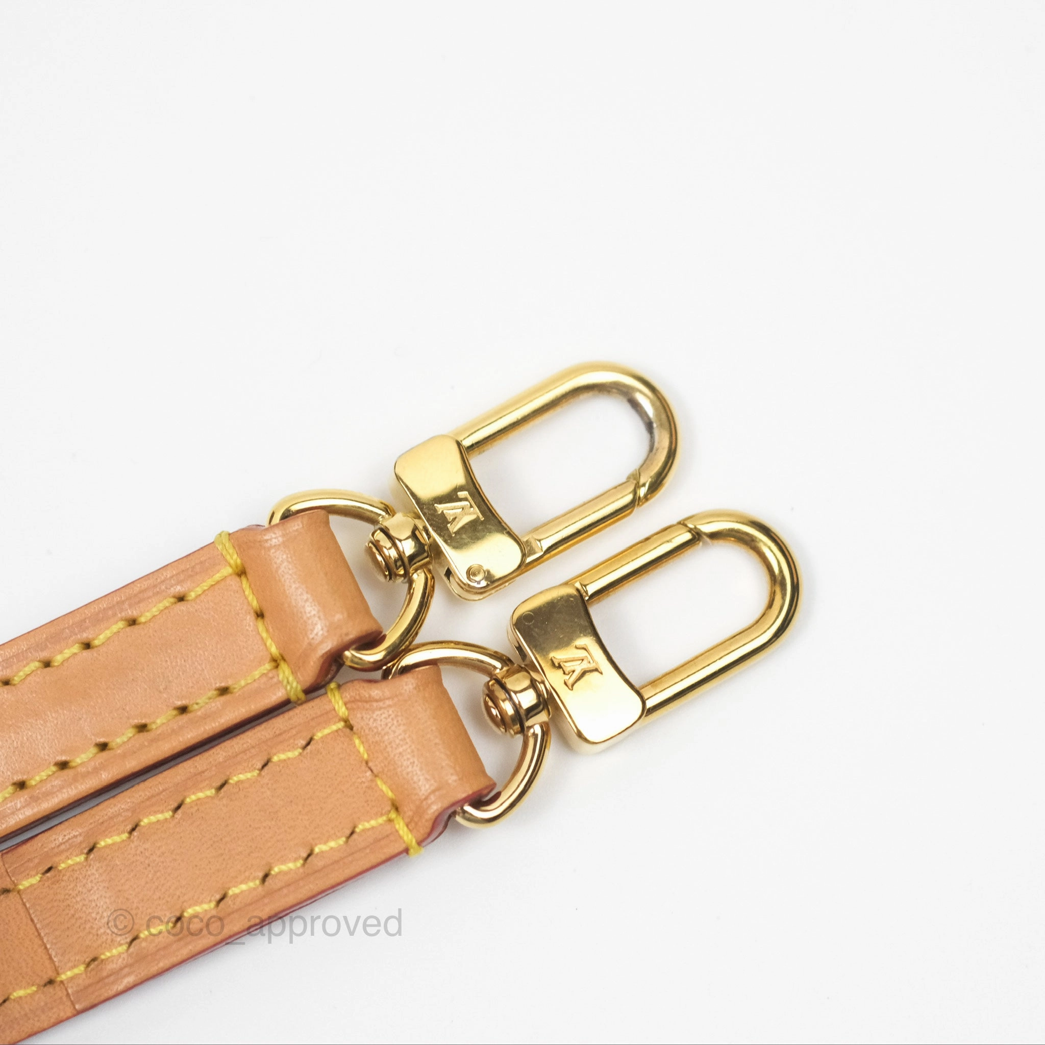 Louis Vuitton Nano Noe Monogram Canvas