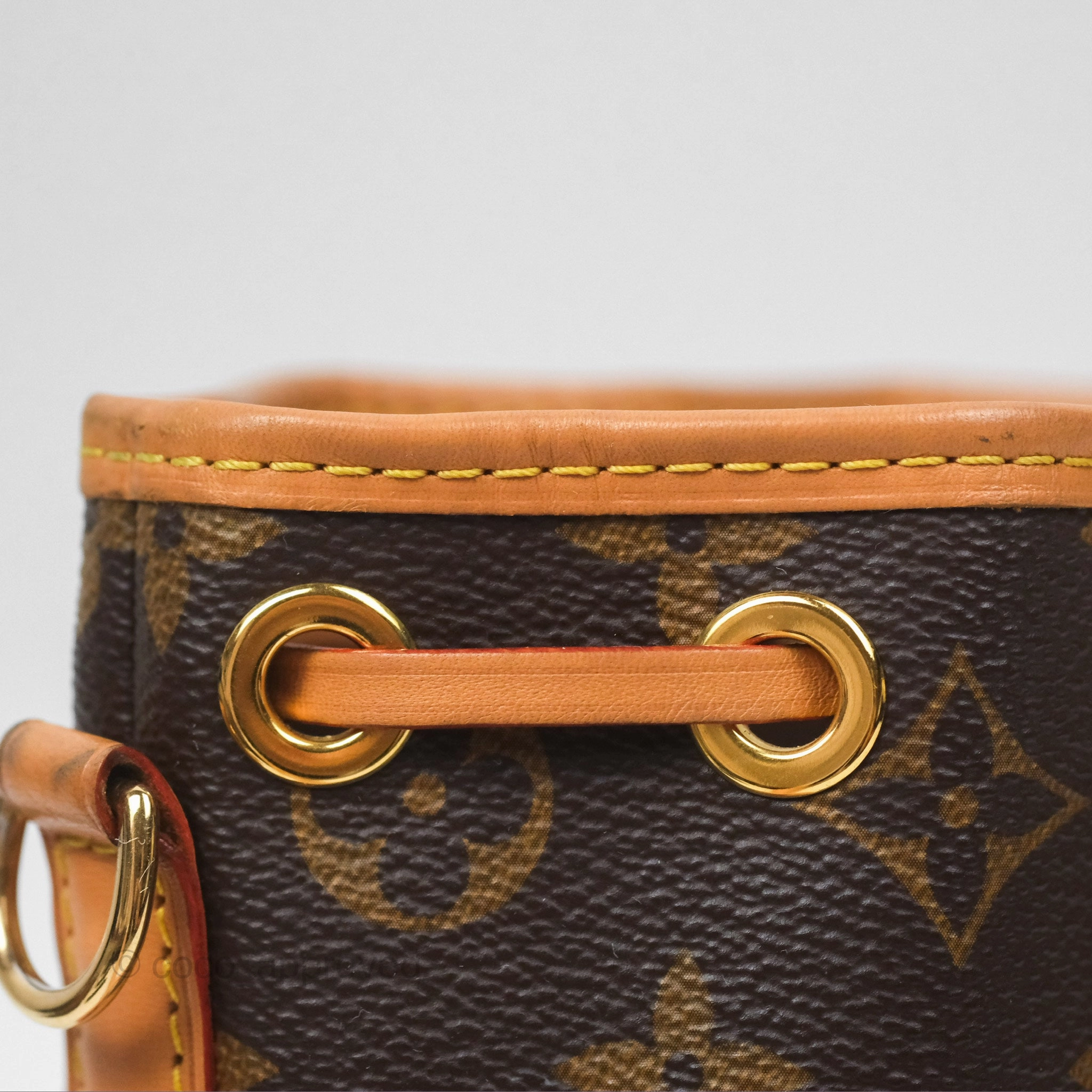 Louis Vuitton Nano Noe Monogram Canvas