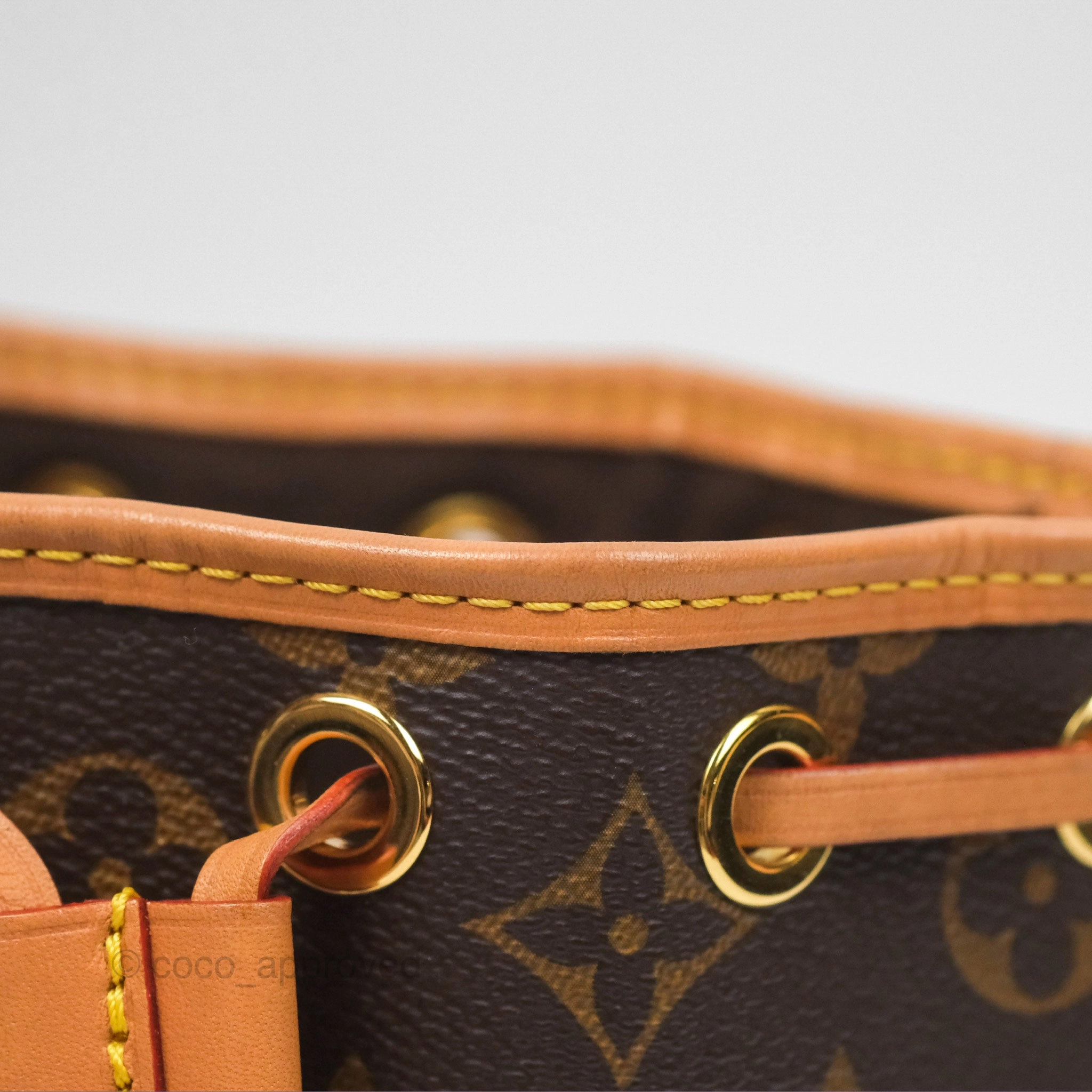 Louis Vuitton Nano Noe Monogram Canvas