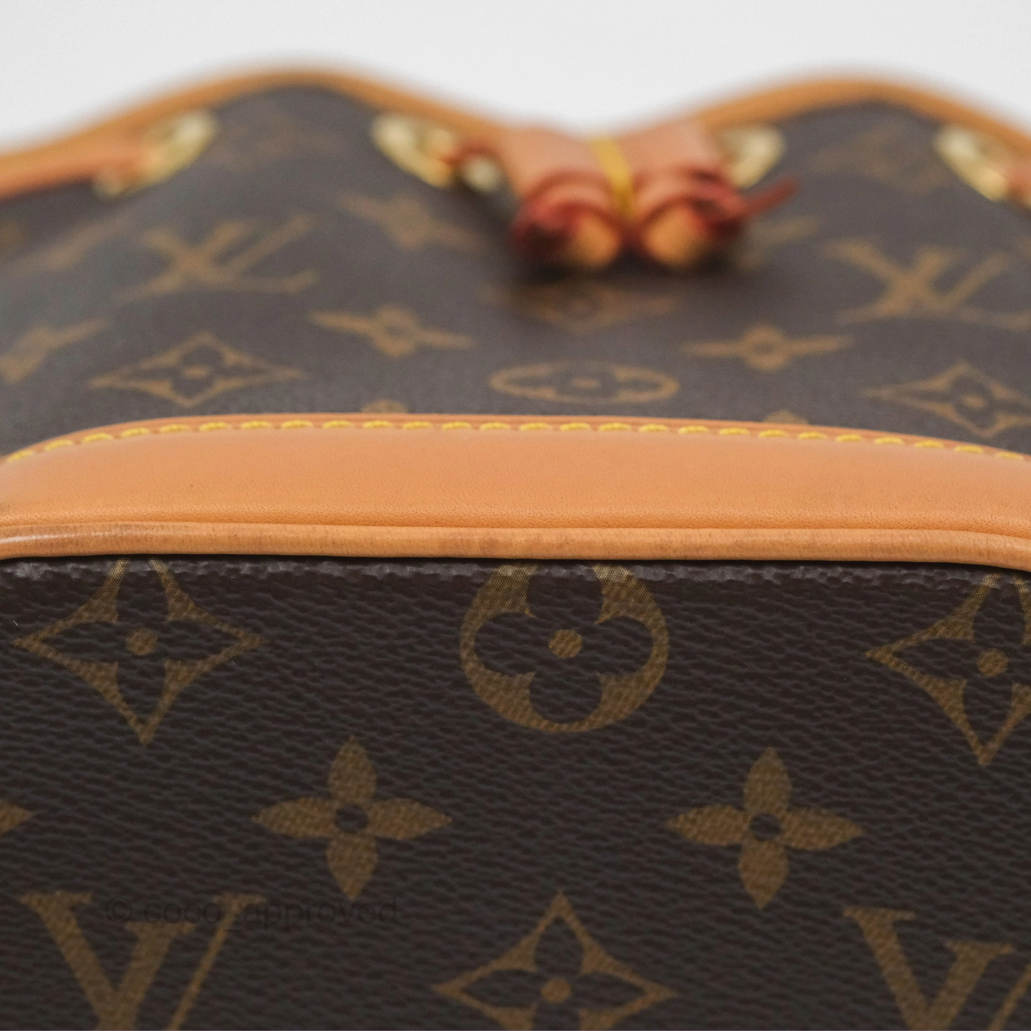 Louis Vuitton Nano Noe Monogram Canvas