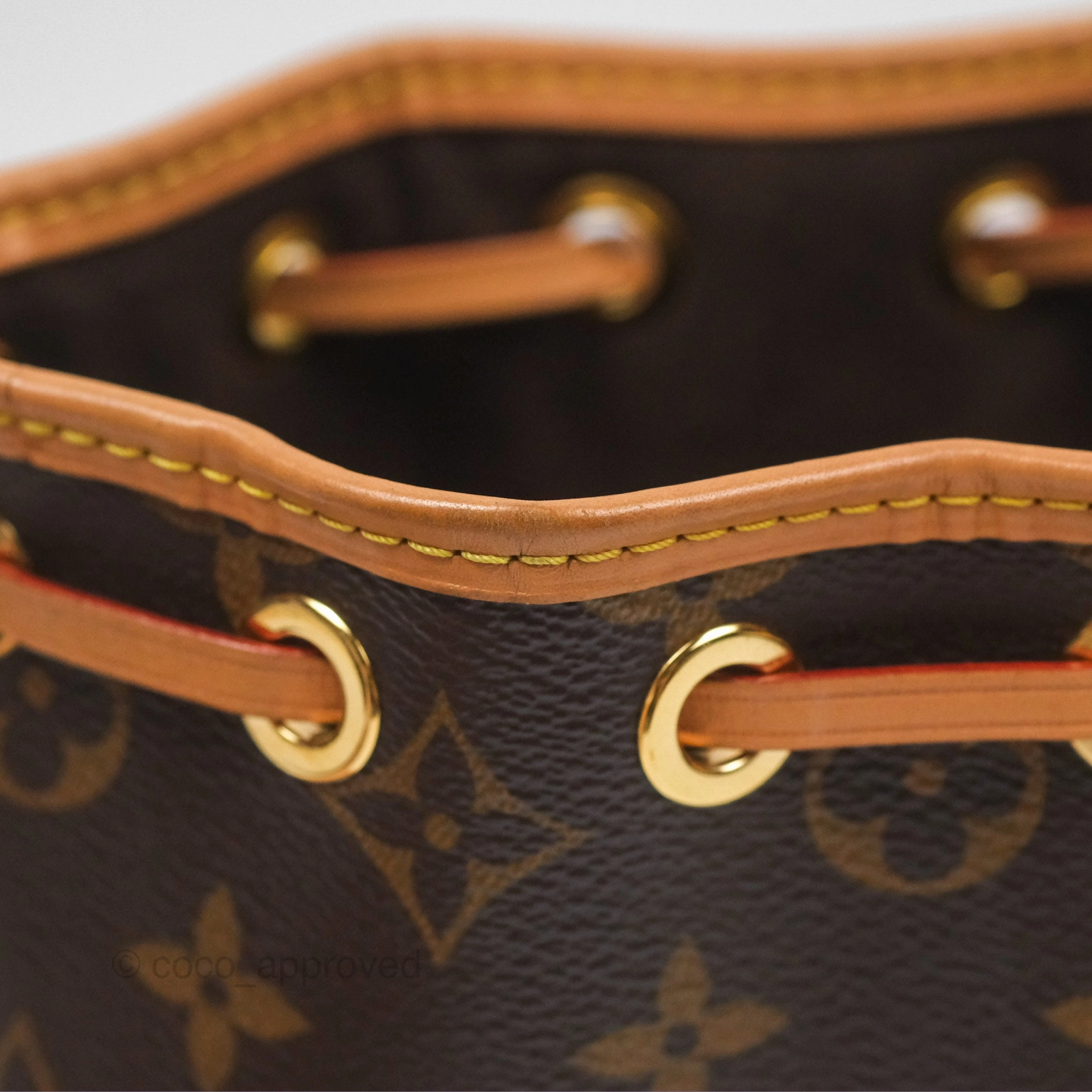Louis Vuitton Nano Noe Monogram Canvas