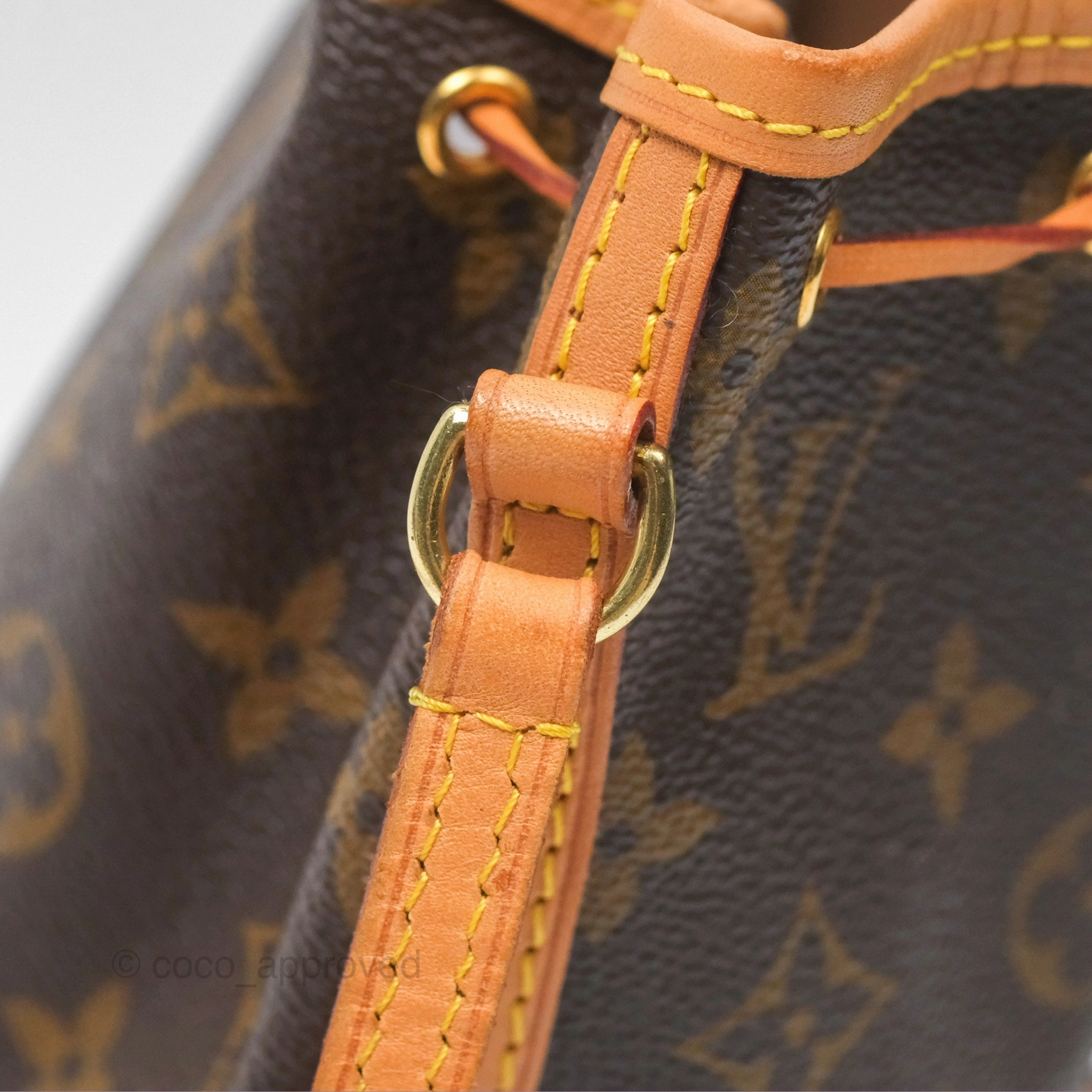 Louis Vuitton Nano Noe Monogram Canvas
