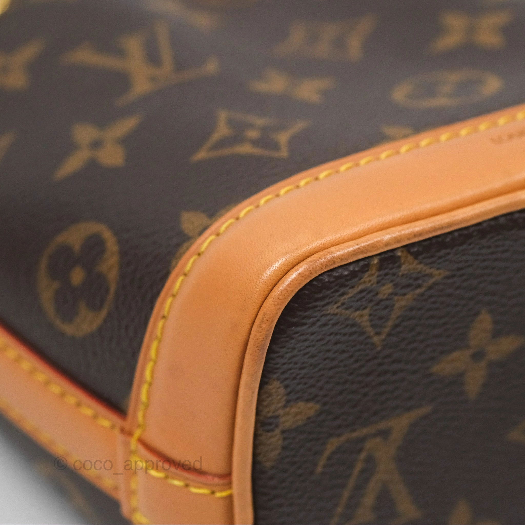 Louis Vuitton Nano Noe Monogram Canvas