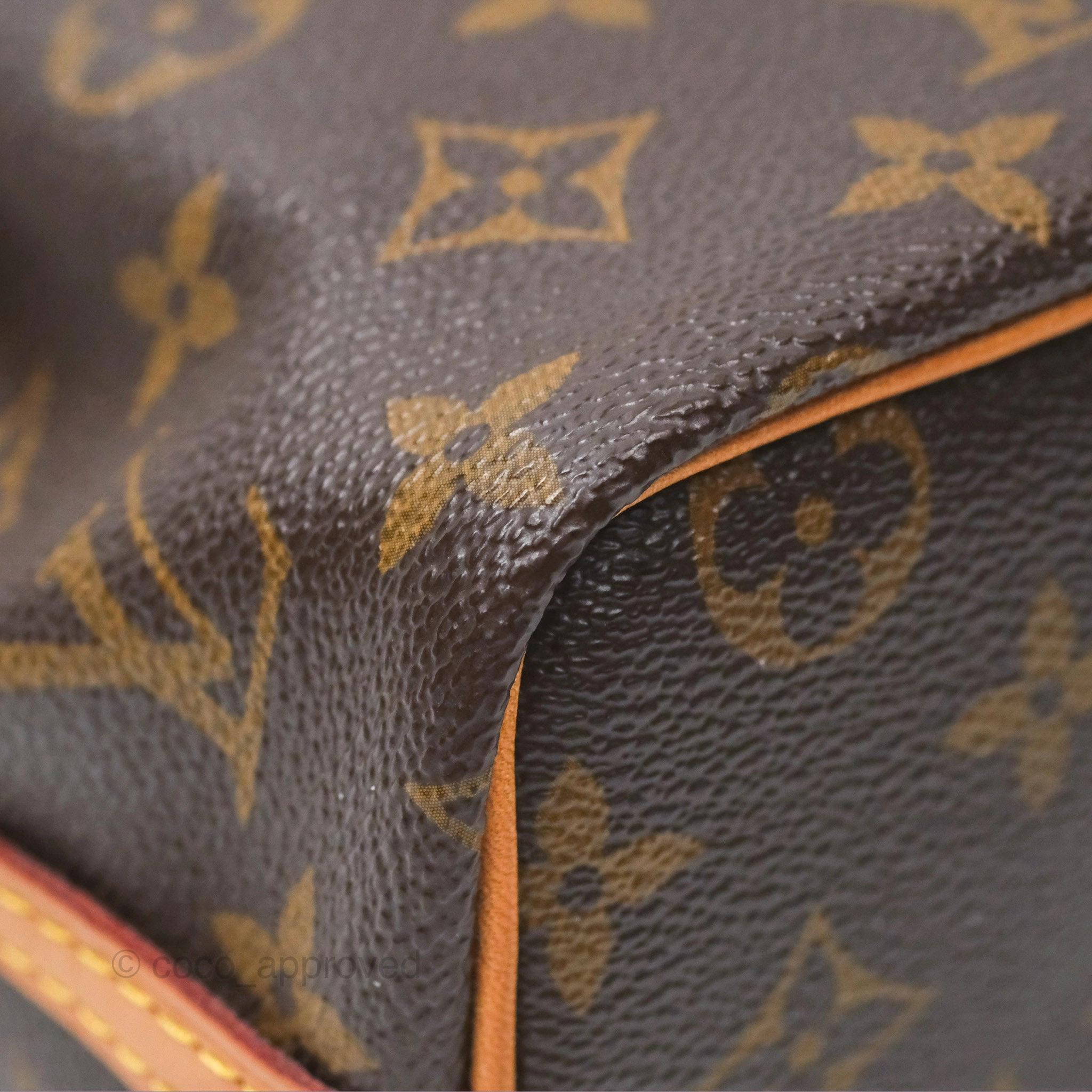 Louis Vuitton Nano Noe Monogram Canvas