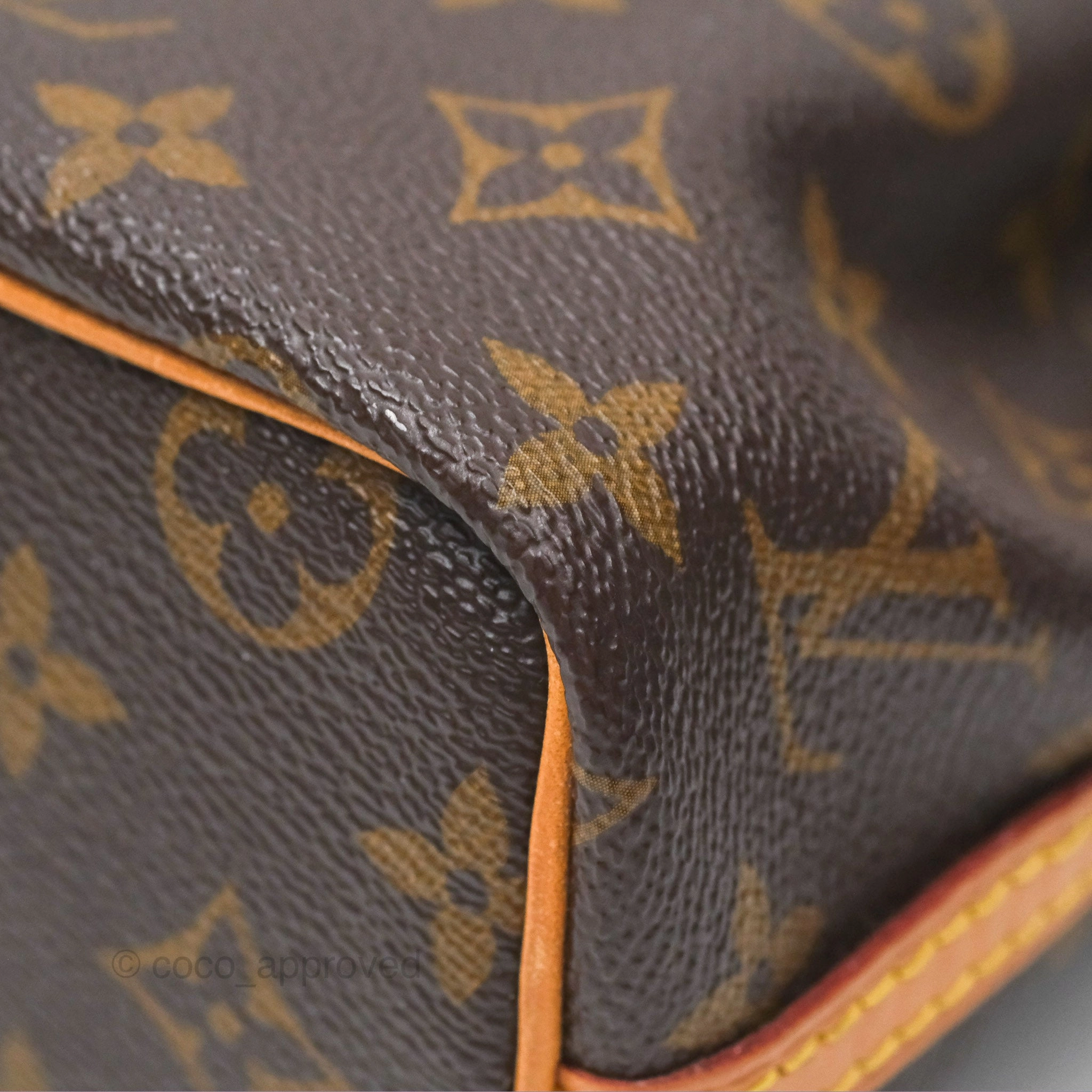 Louis Vuitton Nano Noe Monogram Canvas