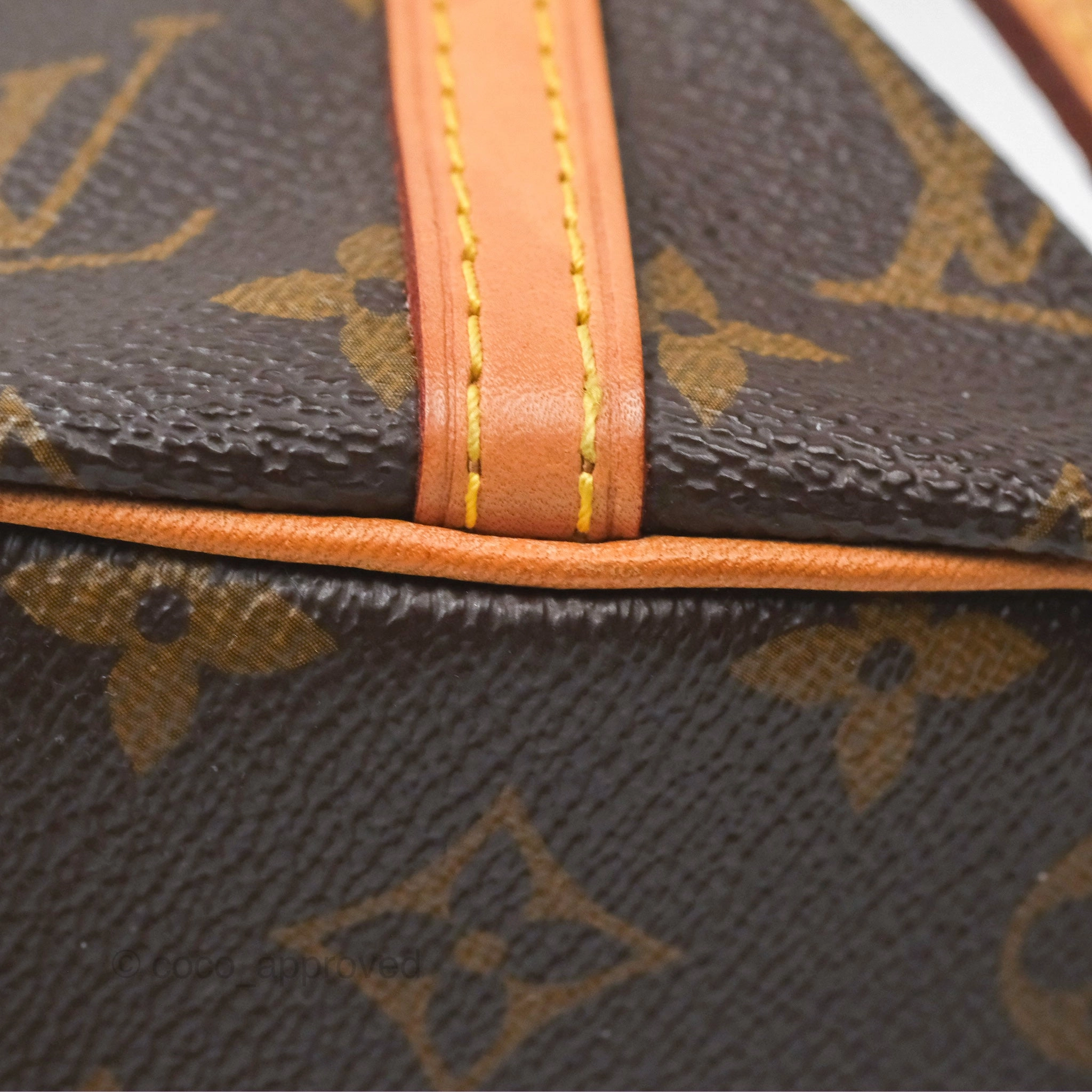 Louis Vuitton Nano Noe Monogram Canvas