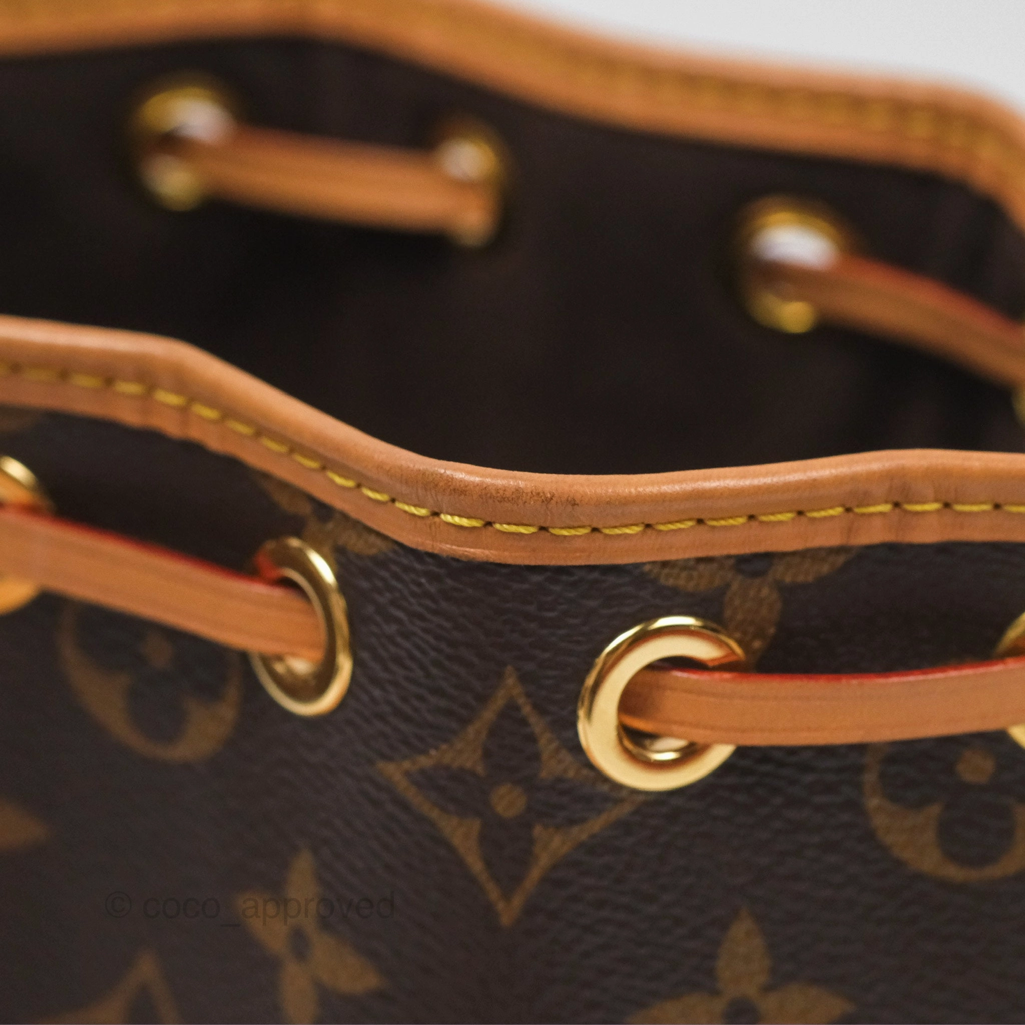 Louis Vuitton Nano Noe Monogram Canvas