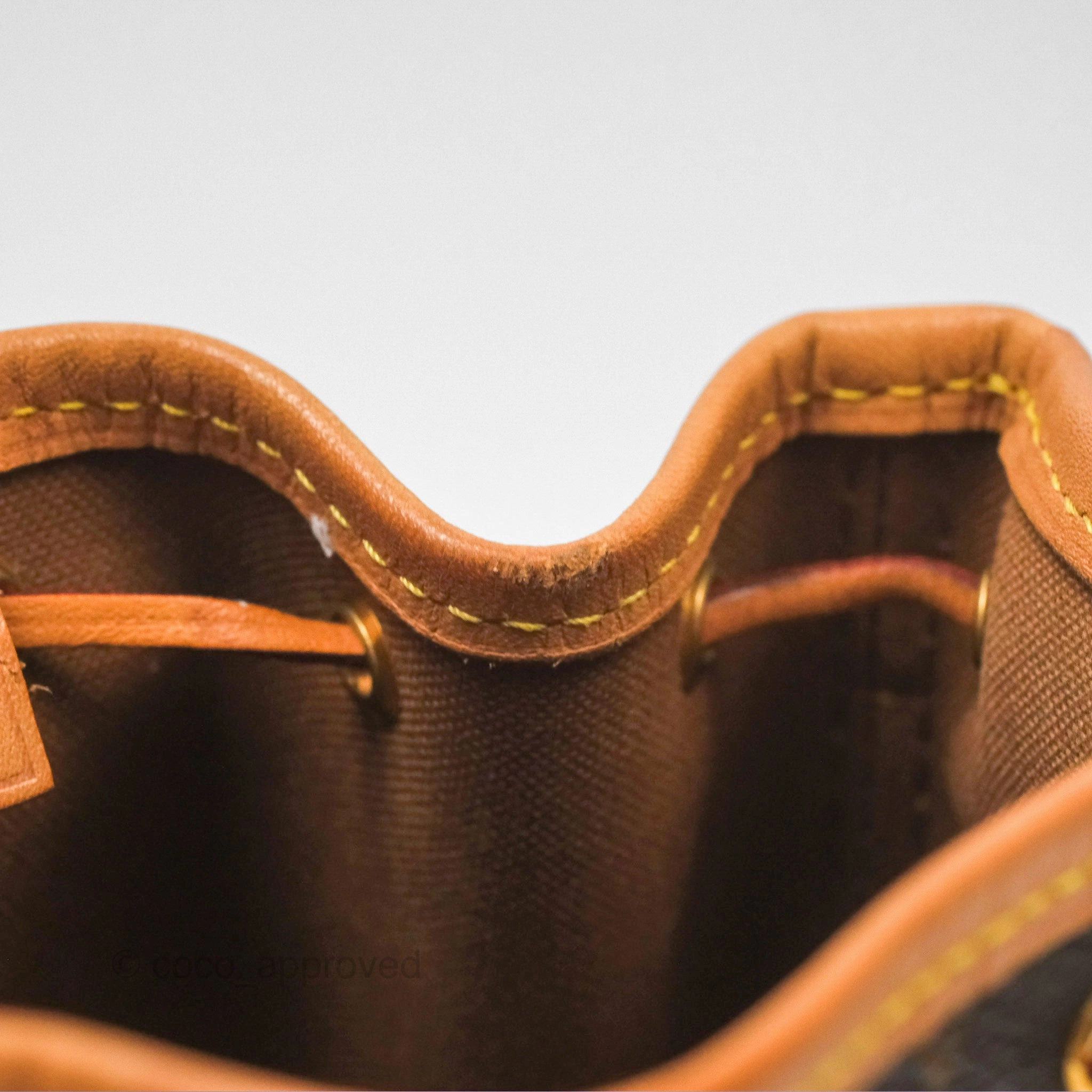 Louis Vuitton Nano Noe Monogram Canvas