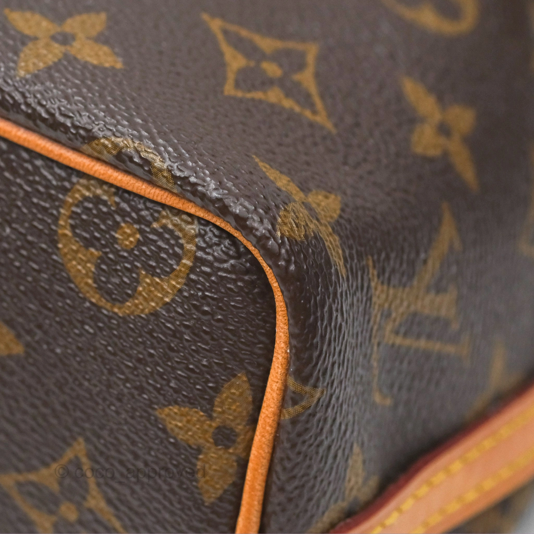 Louis Vuitton Nano Noe Monogram Canvas
