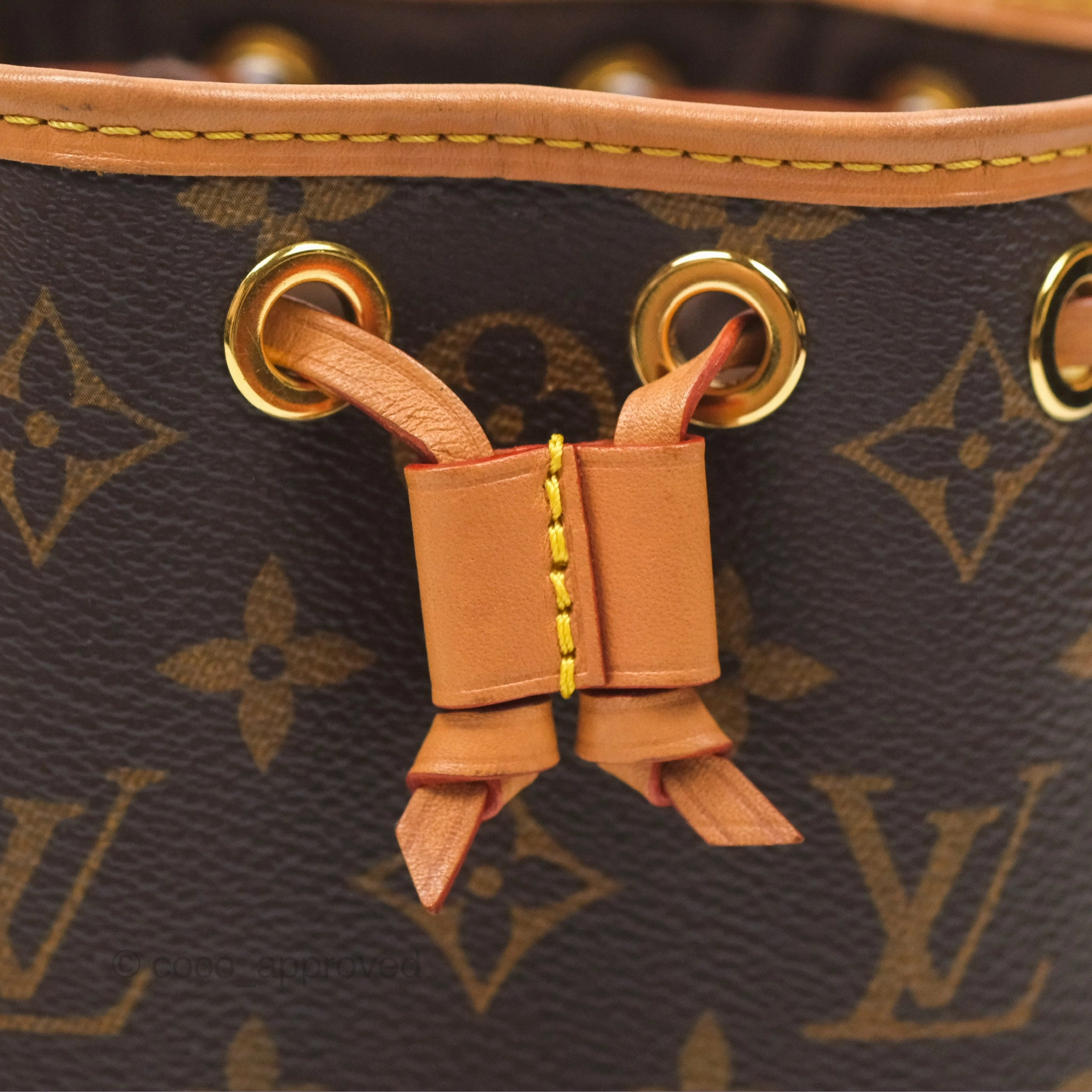 Louis Vuitton Nano Noe Monogram Canvas
