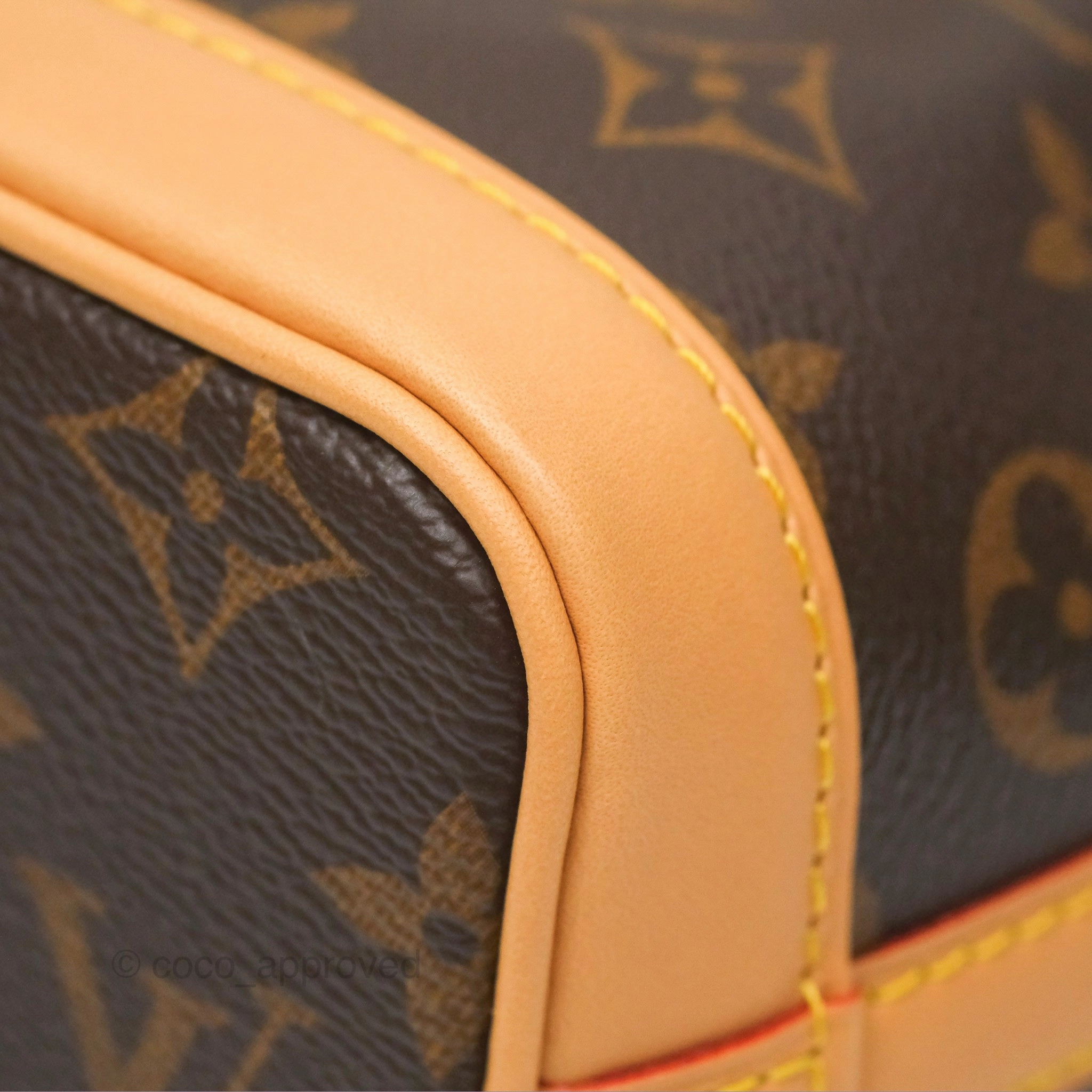 Louis Vuitton Nano Noe Monogram Canvas