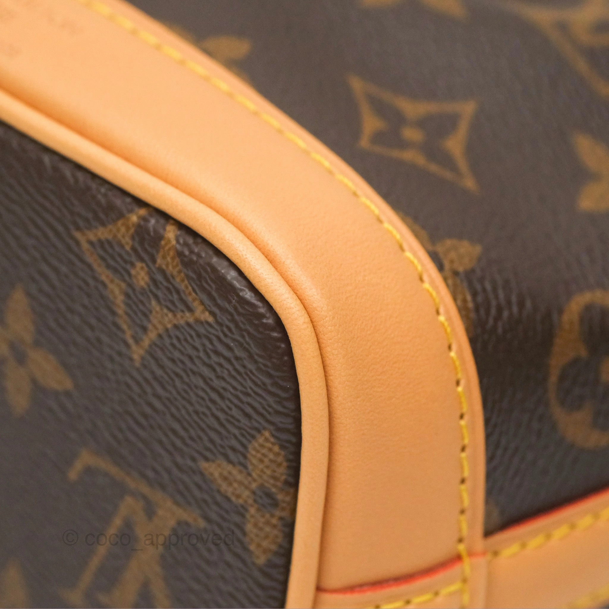 Louis Vuitton Nano Noe Monogram Canvas