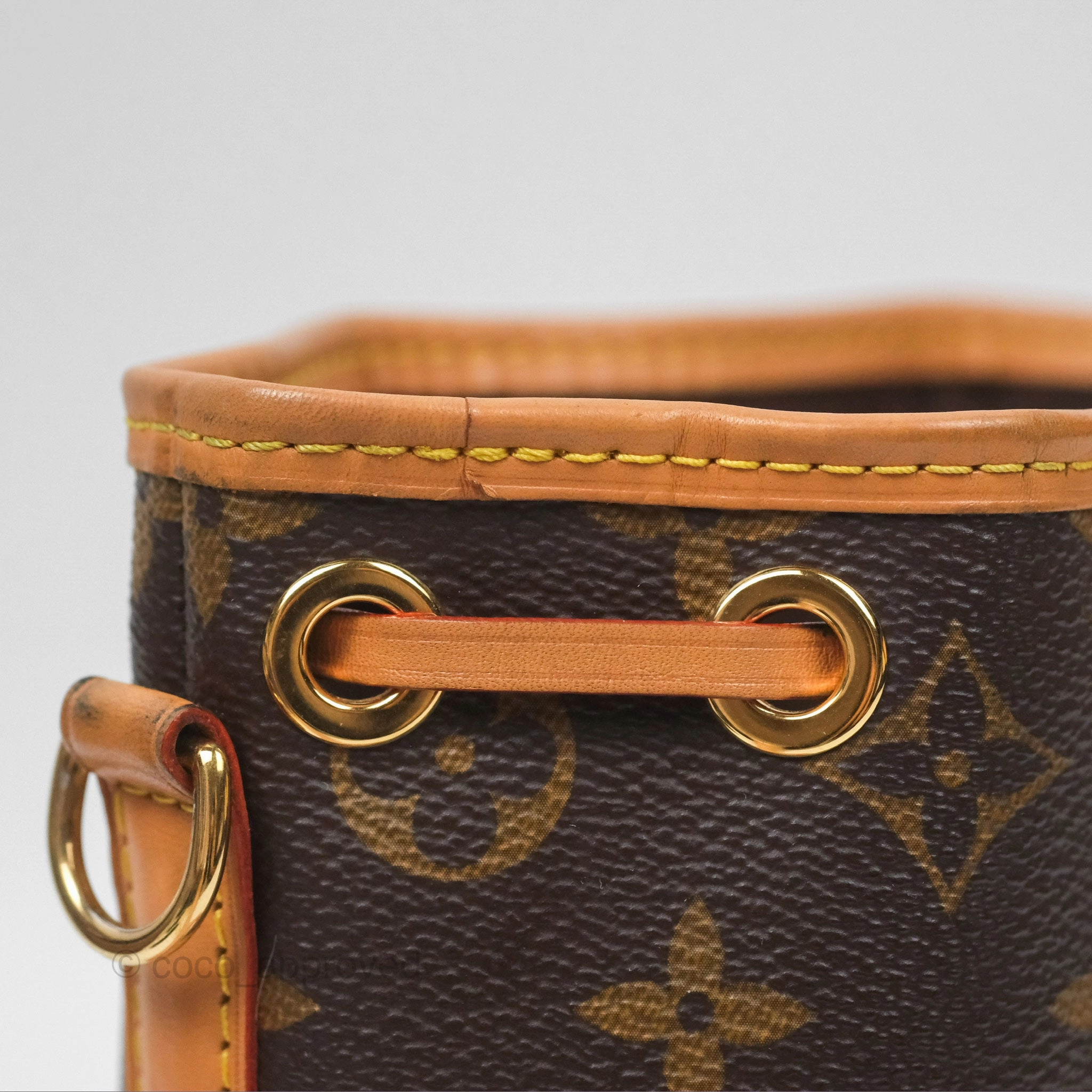 Louis Vuitton Nano Noe Monogram Canvas