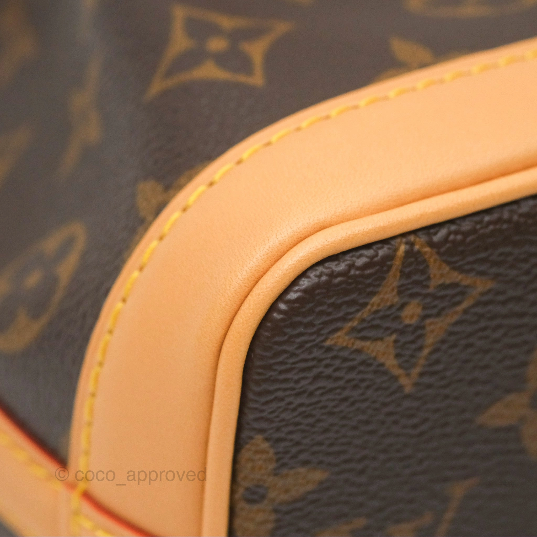 Louis Vuitton Nano Noe Monogram Canvas