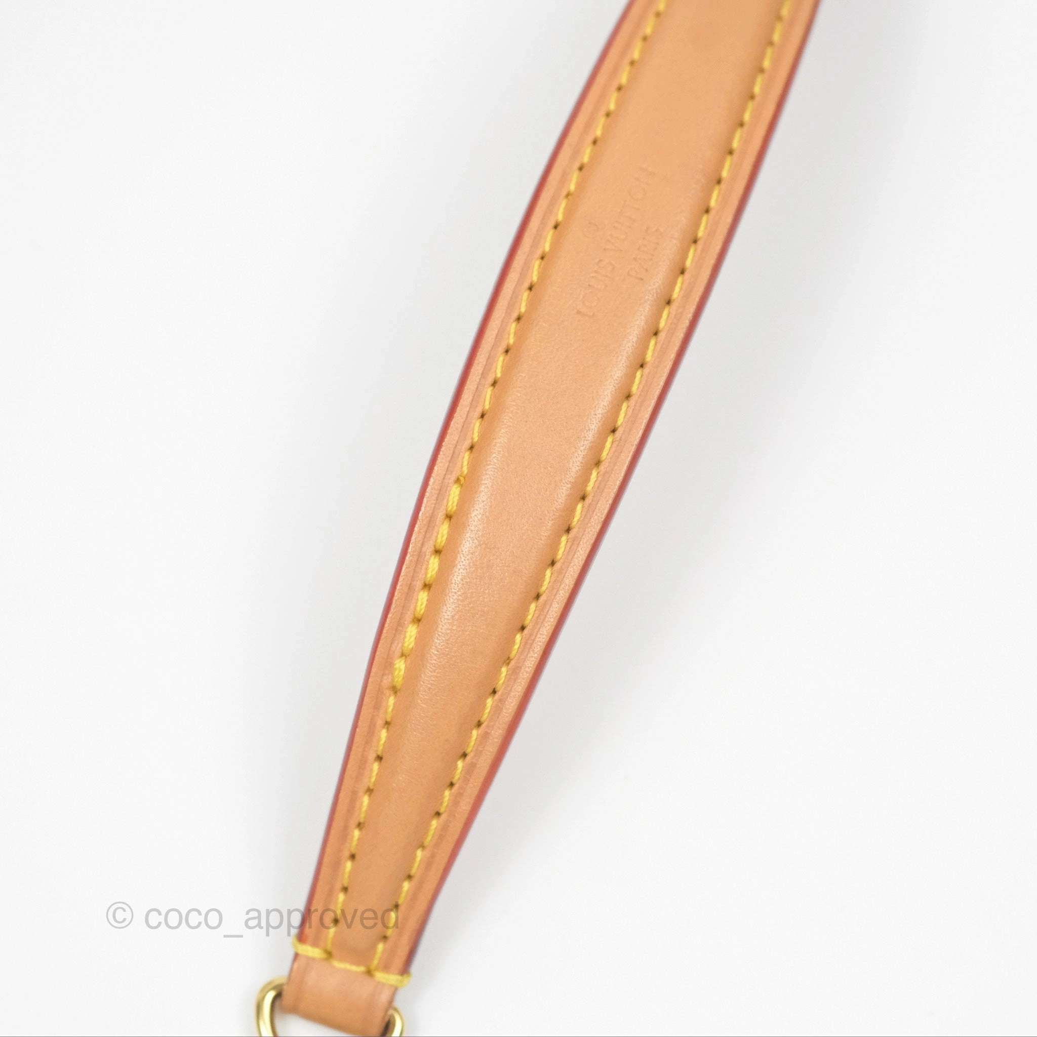 Louis Vuitton Nano Noe Monogram Canvas