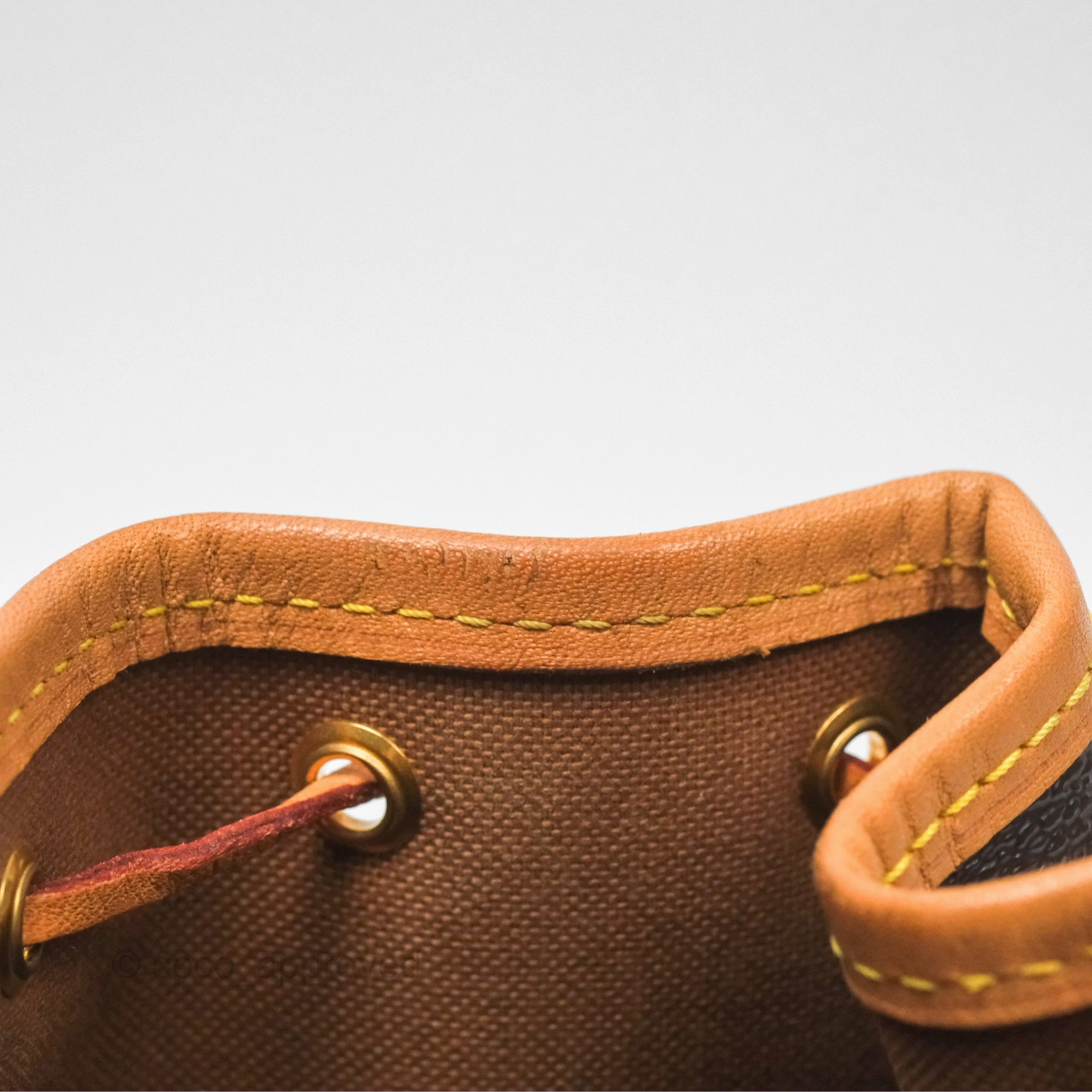 Louis Vuitton Nano Noe Monogram Canvas