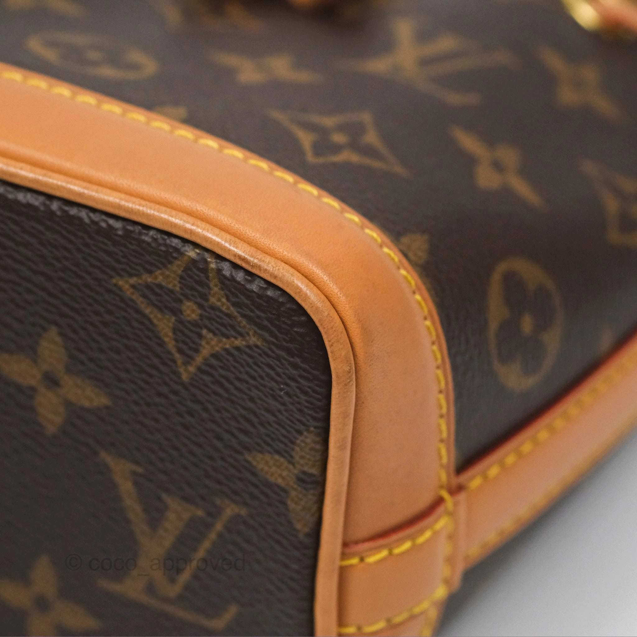 Louis Vuitton Nano Noe Monogram Canvas