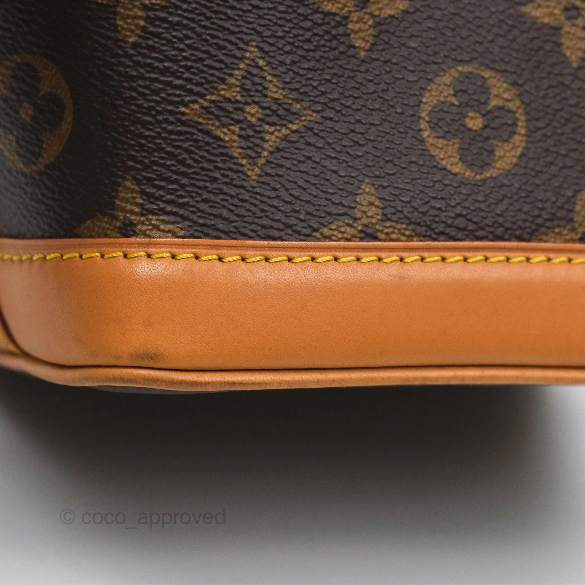 Louis Vuitton Nano Noe Monogram Canvas