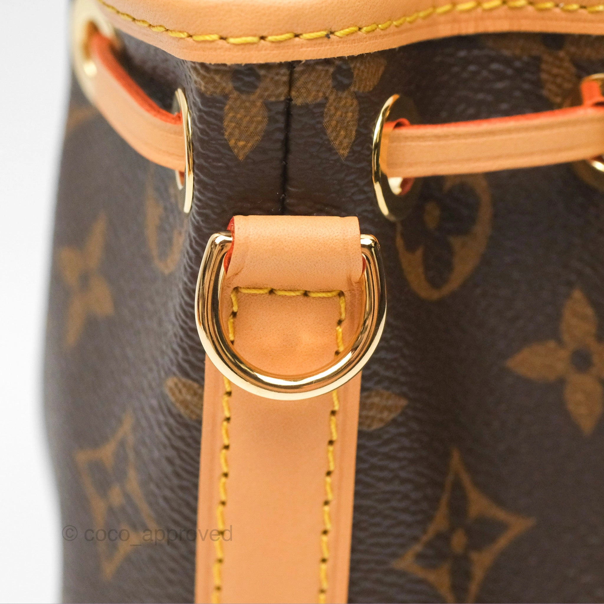 Louis Vuitton Nano Noe Monogram Canvas