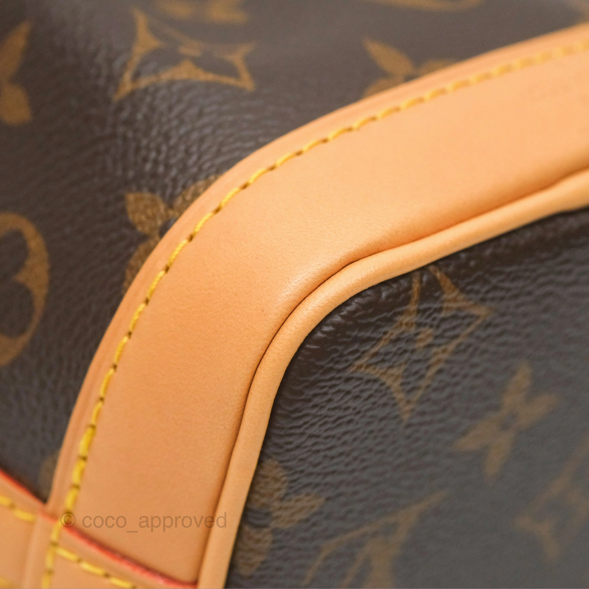 Louis Vuitton Nano Noe Monogram Canvas