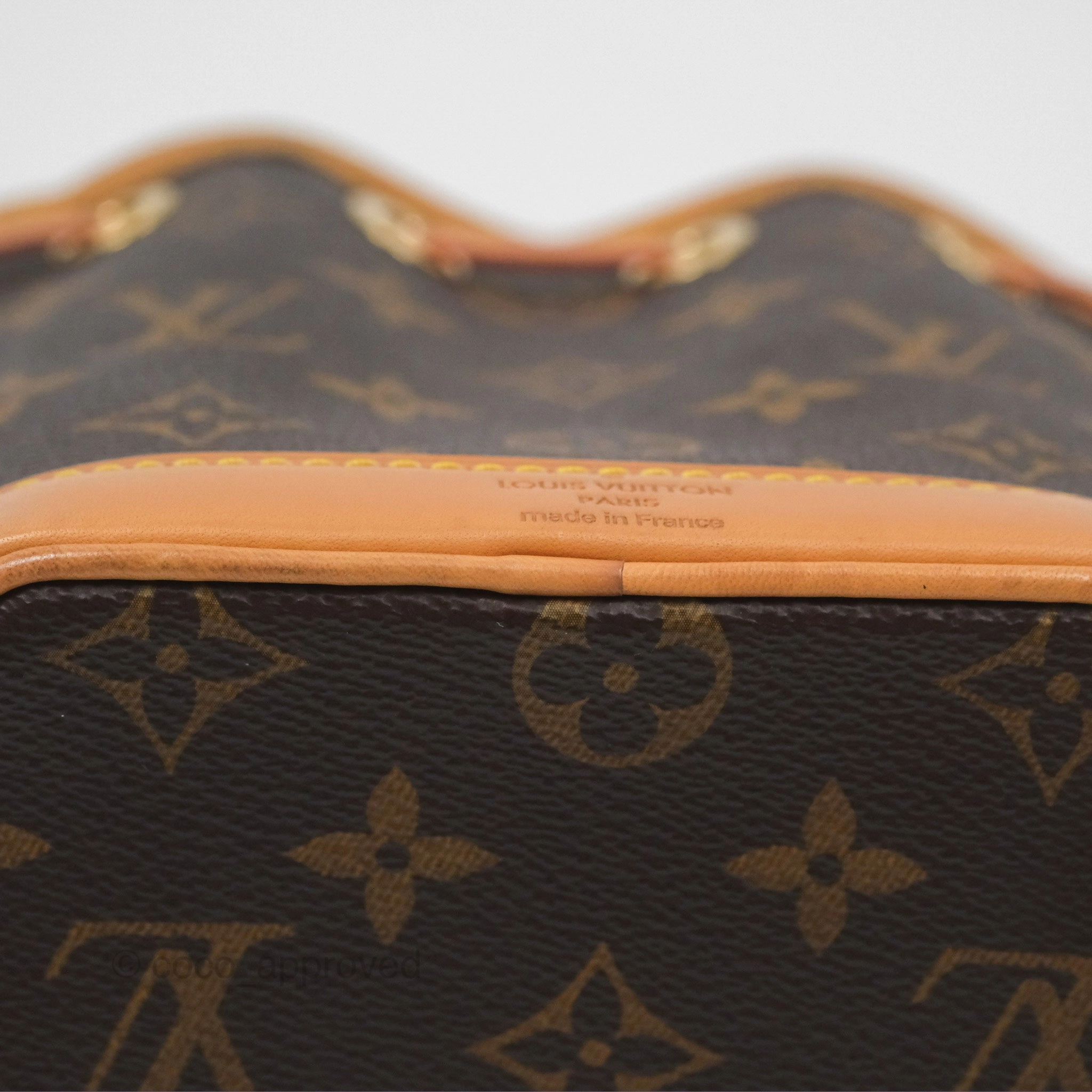 Louis Vuitton Nano Noe Monogram Canvas