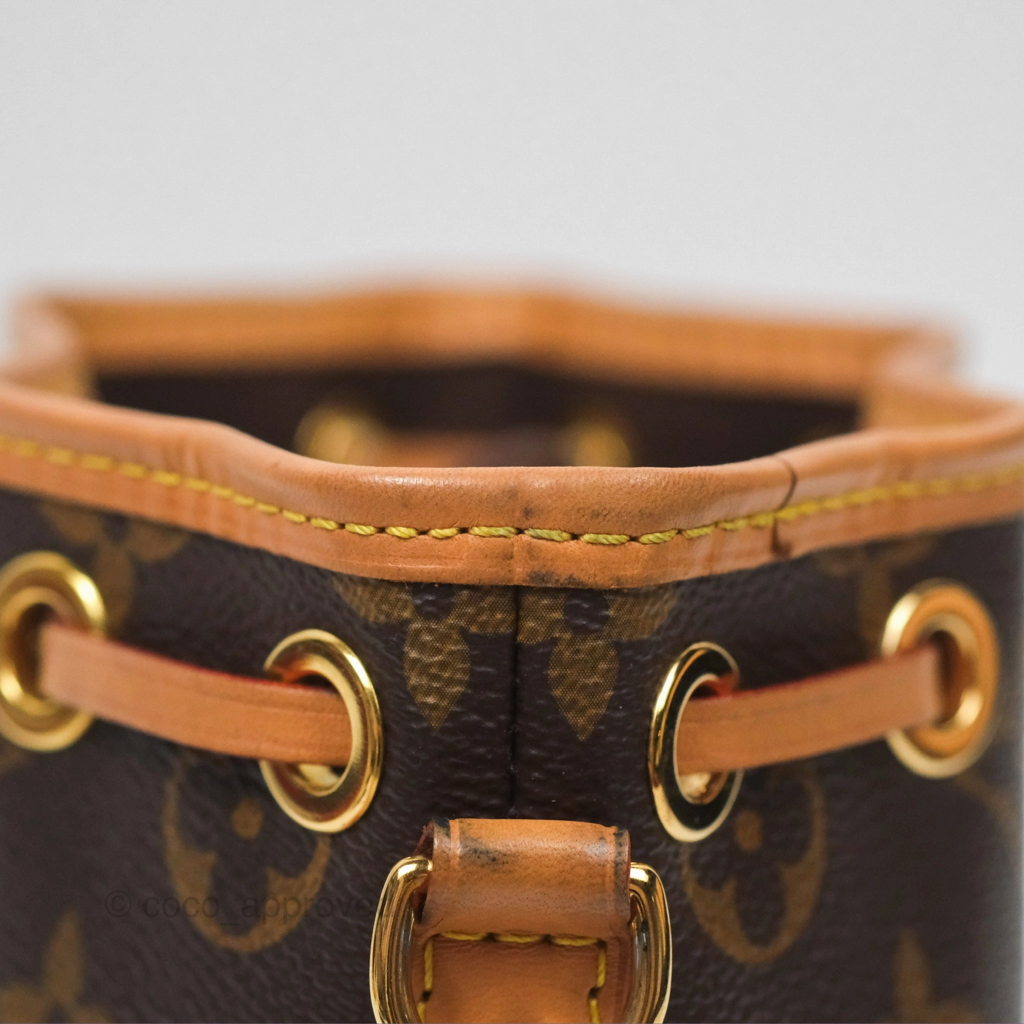 Louis Vuitton Nano Noe Monogram Canvas