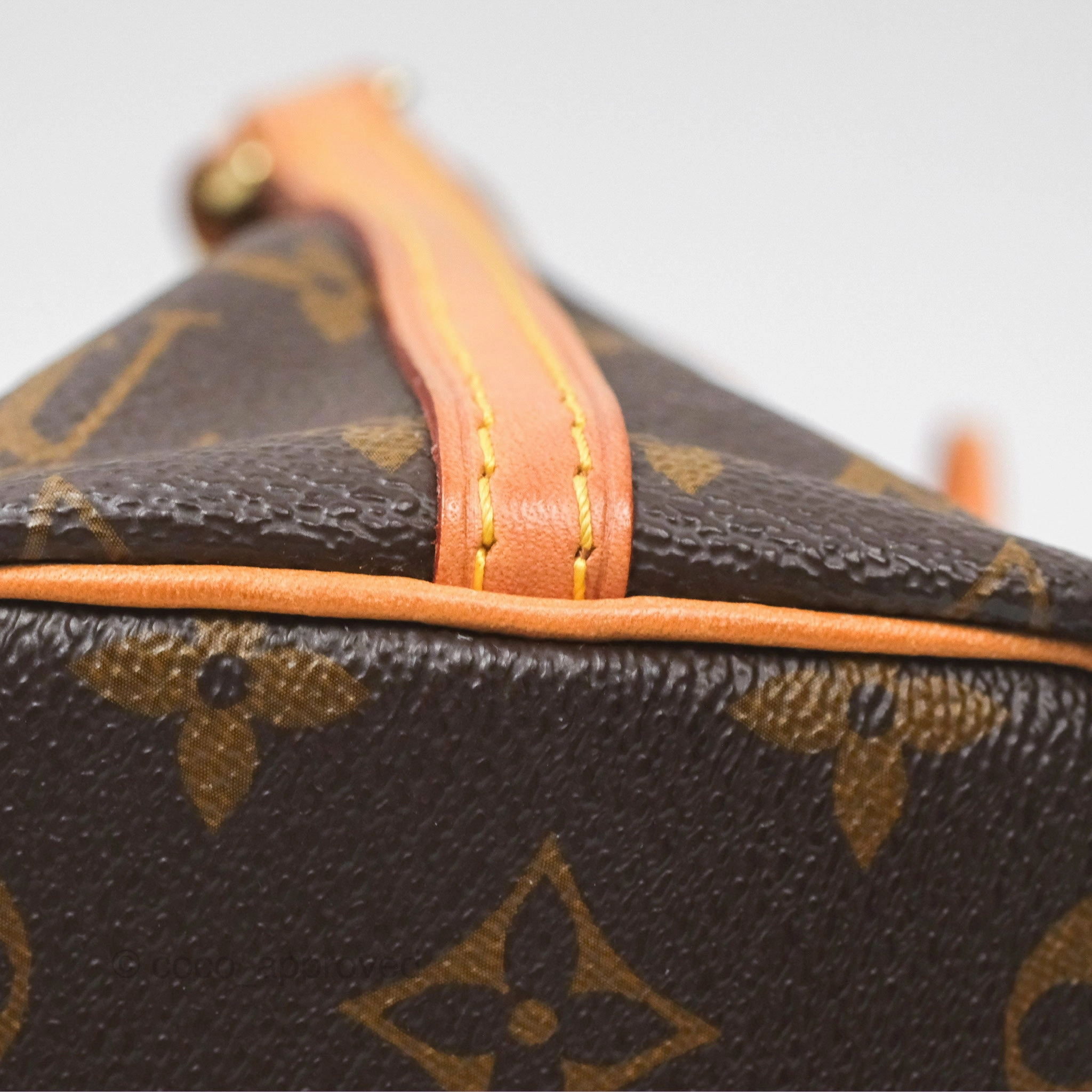Louis Vuitton Nano Noe Monogram Canvas