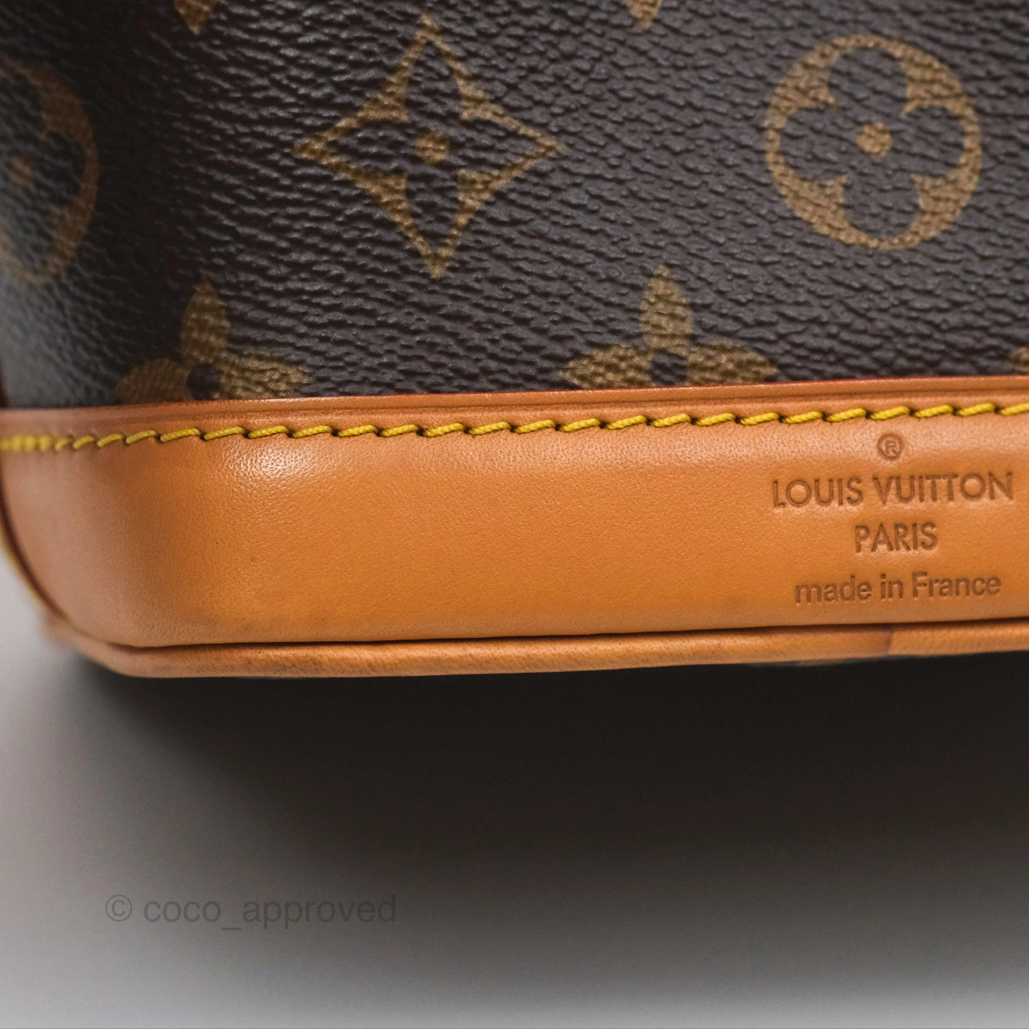 Louis Vuitton Nano Noe Monogram Canvas