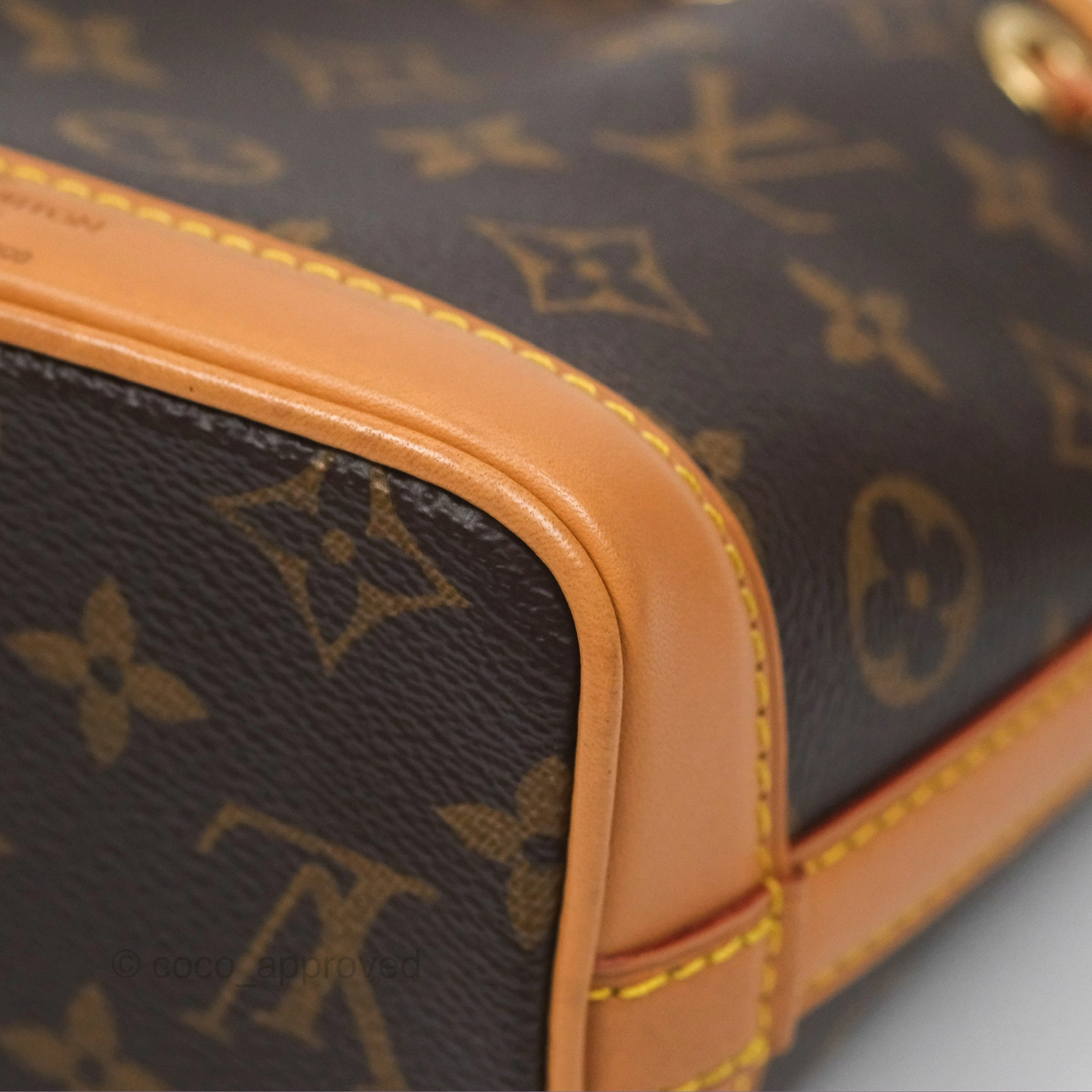 Louis Vuitton Nano Noe Monogram Canvas