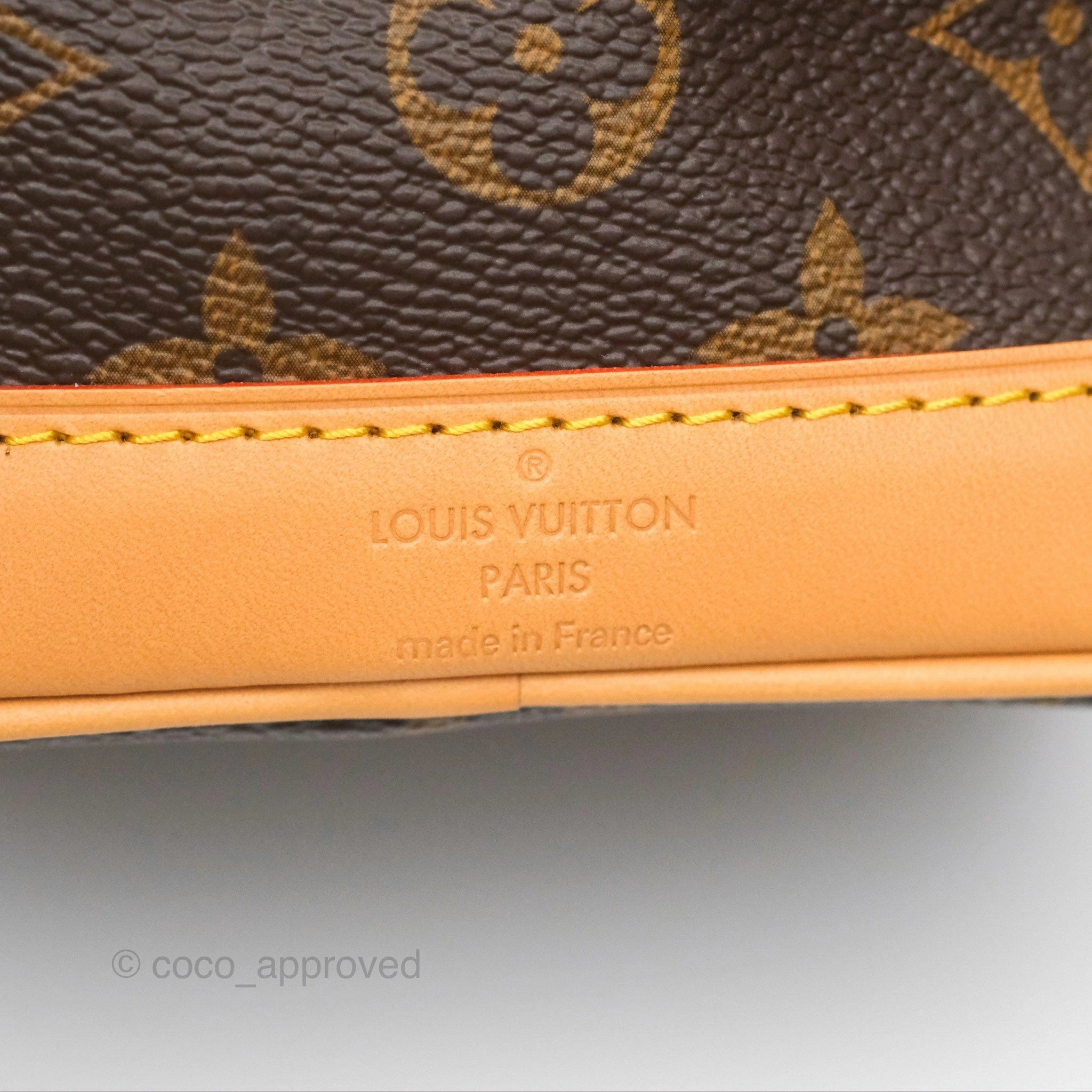 Louis Vuitton Nano Noe Monogram Canvas