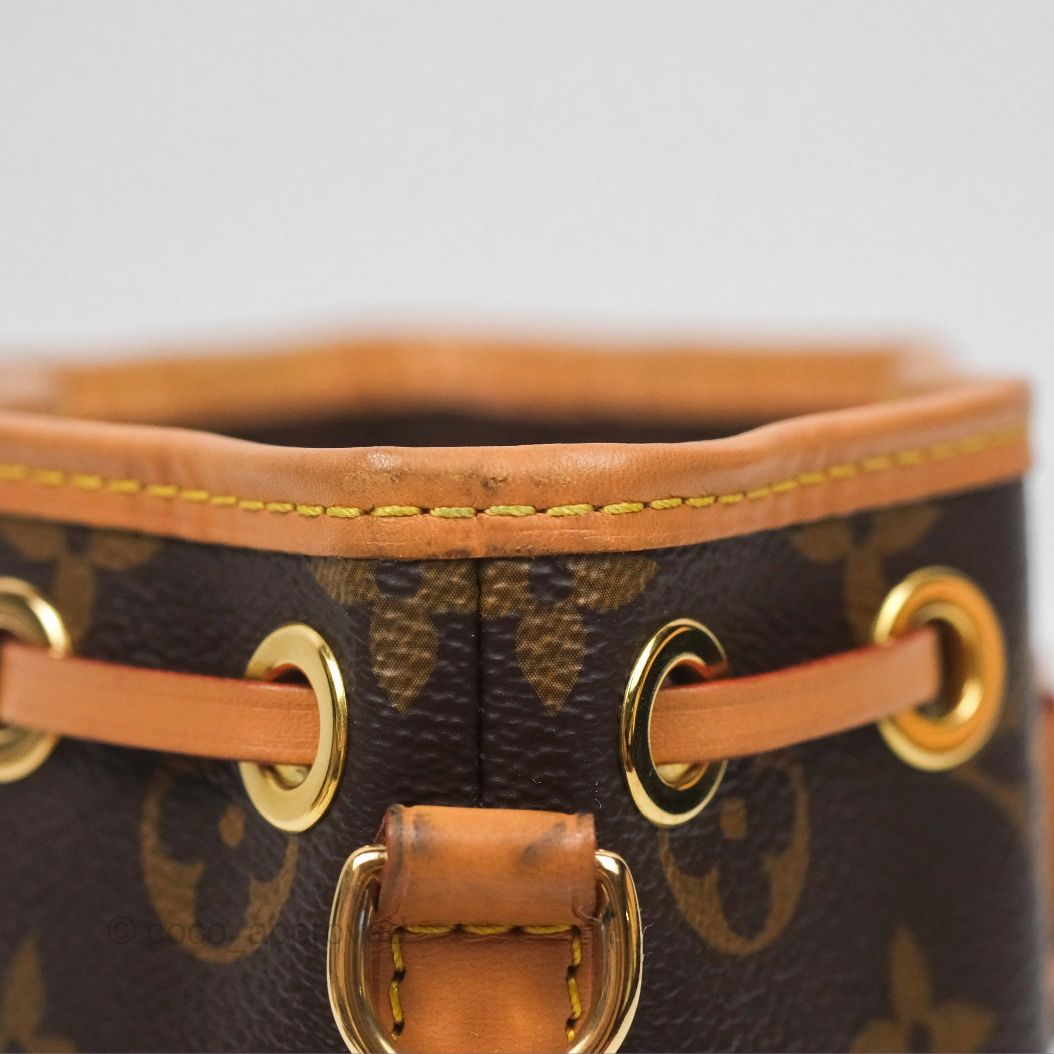 Louis Vuitton Nano Noe Monogram Canvas