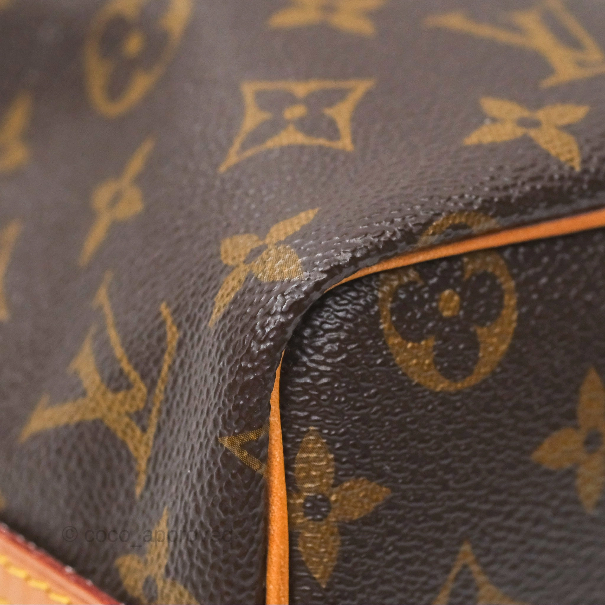 Louis Vuitton Nano Noe Monogram Canvas