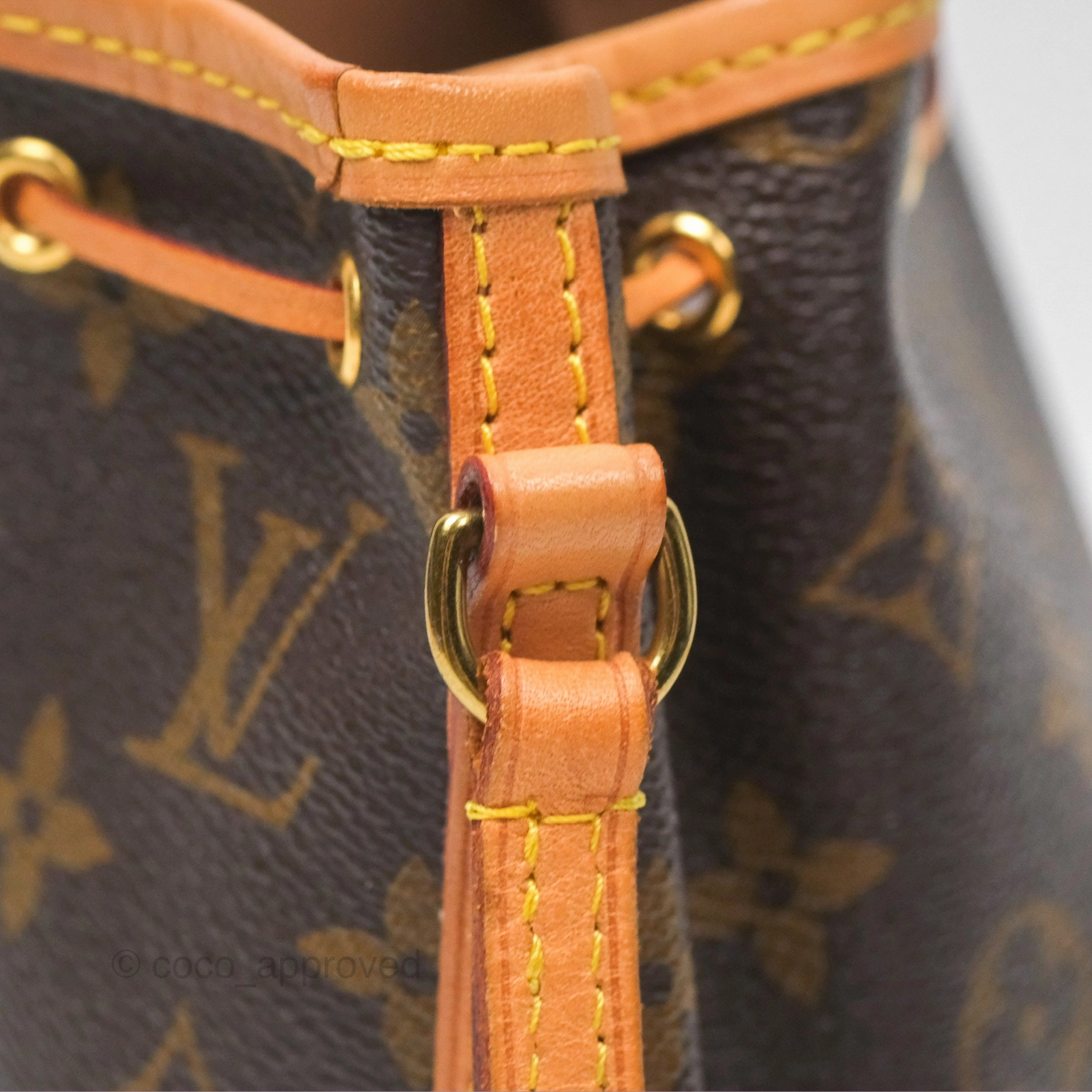 Louis Vuitton Nano Noe Monogram Canvas