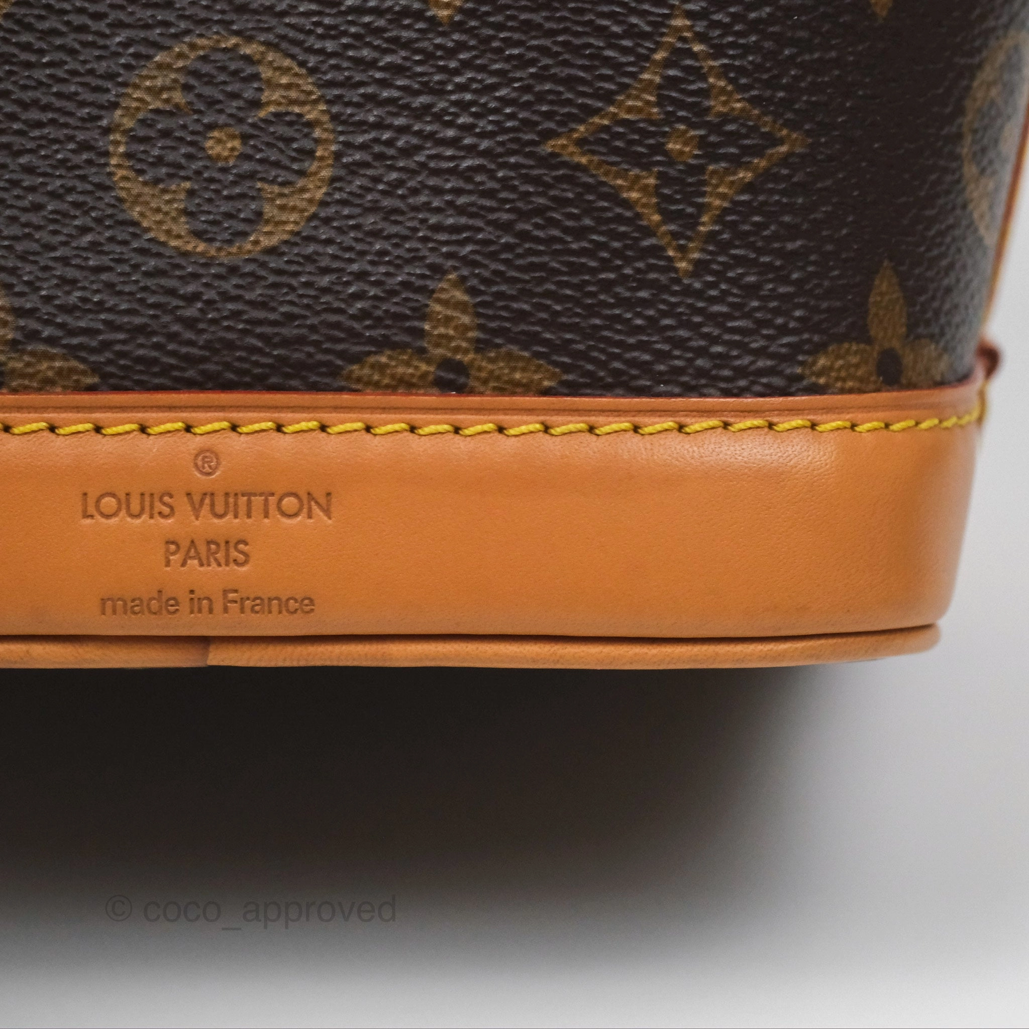 Louis Vuitton Nano Noe Monogram Canvas